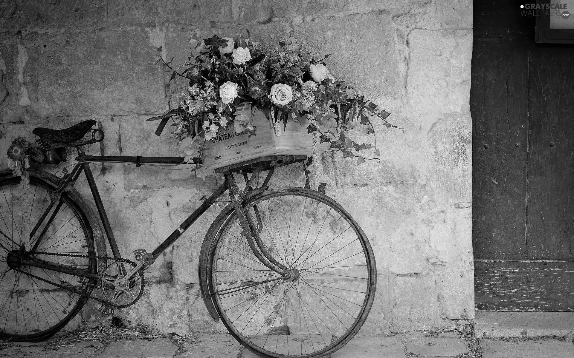 box, Bike, wall