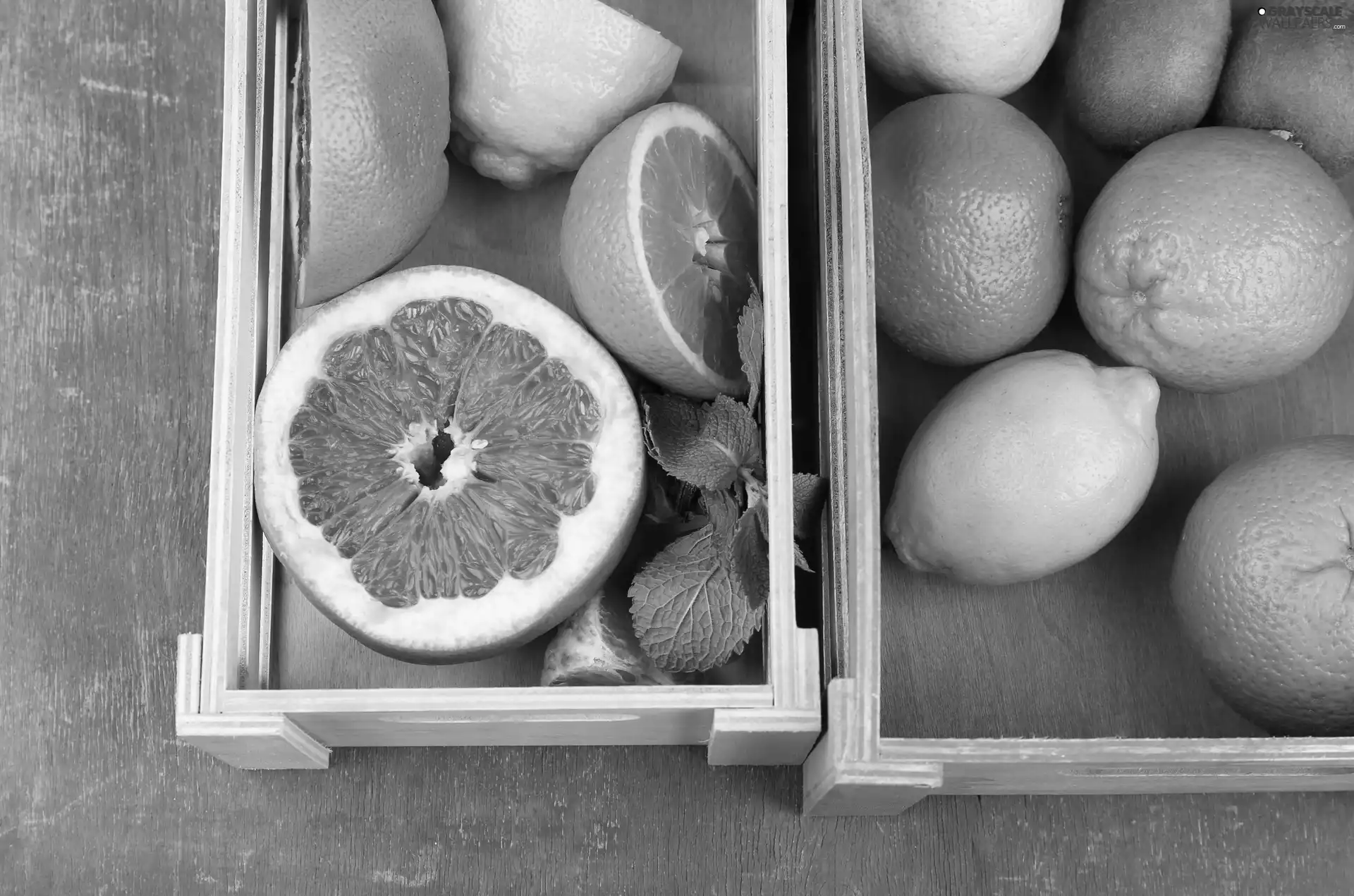 orange, citrus, leaves, grape-fruit, Fruits, lemons, boxes
