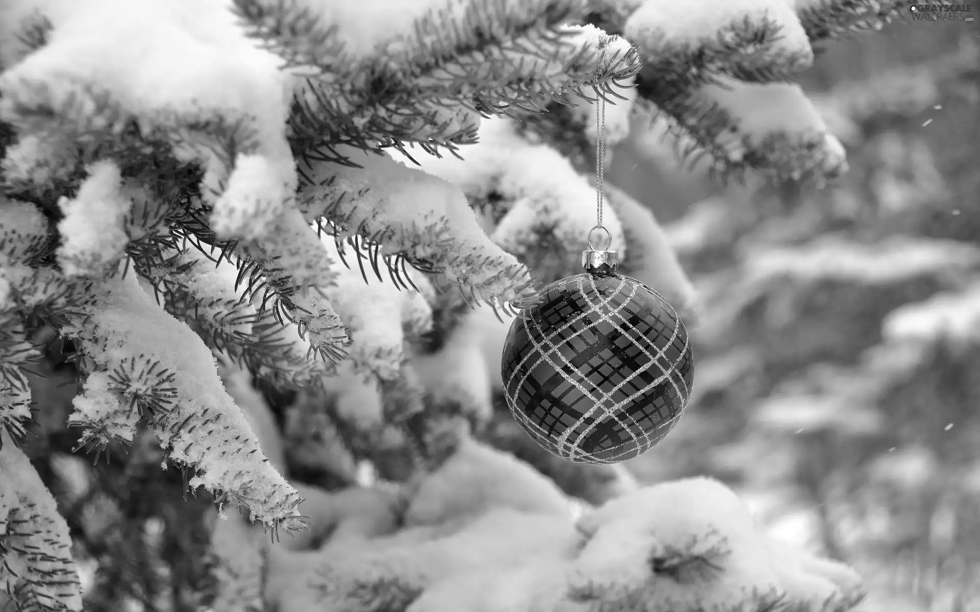 bauble, A snow-covered, forest, winter, Christmas Tree, branch