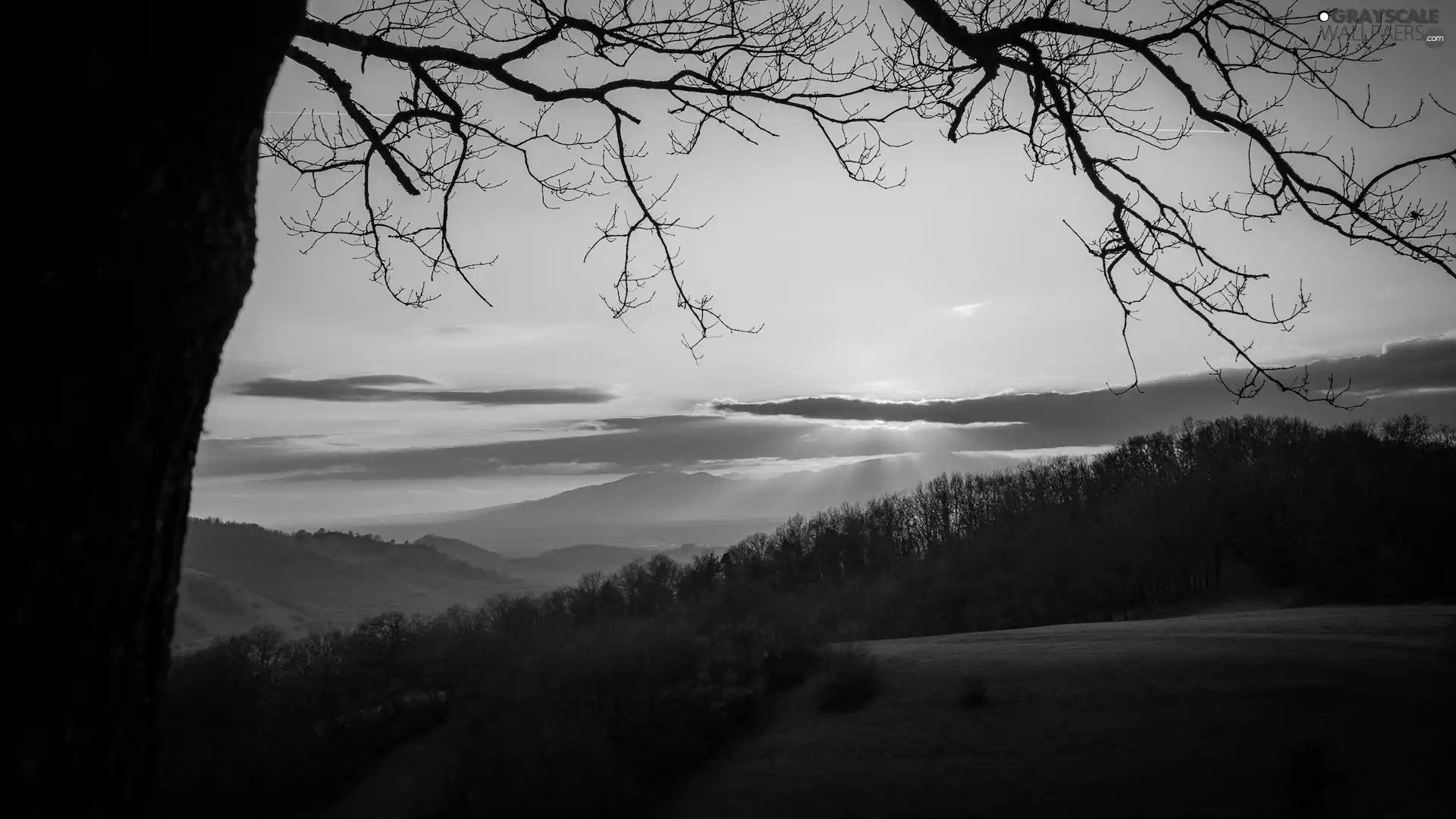 Great Sunsets, trees, branch pics, Hill