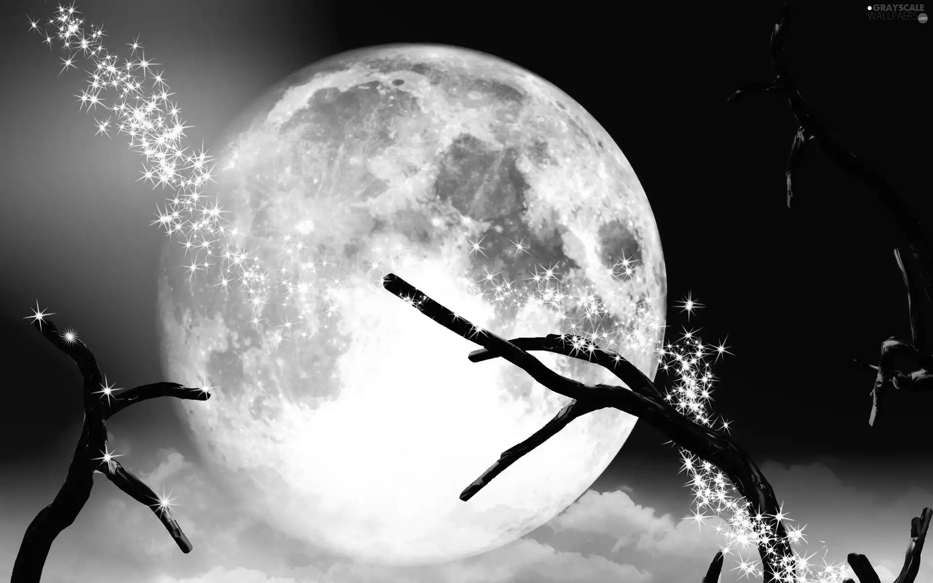 star, moon, branch pics
