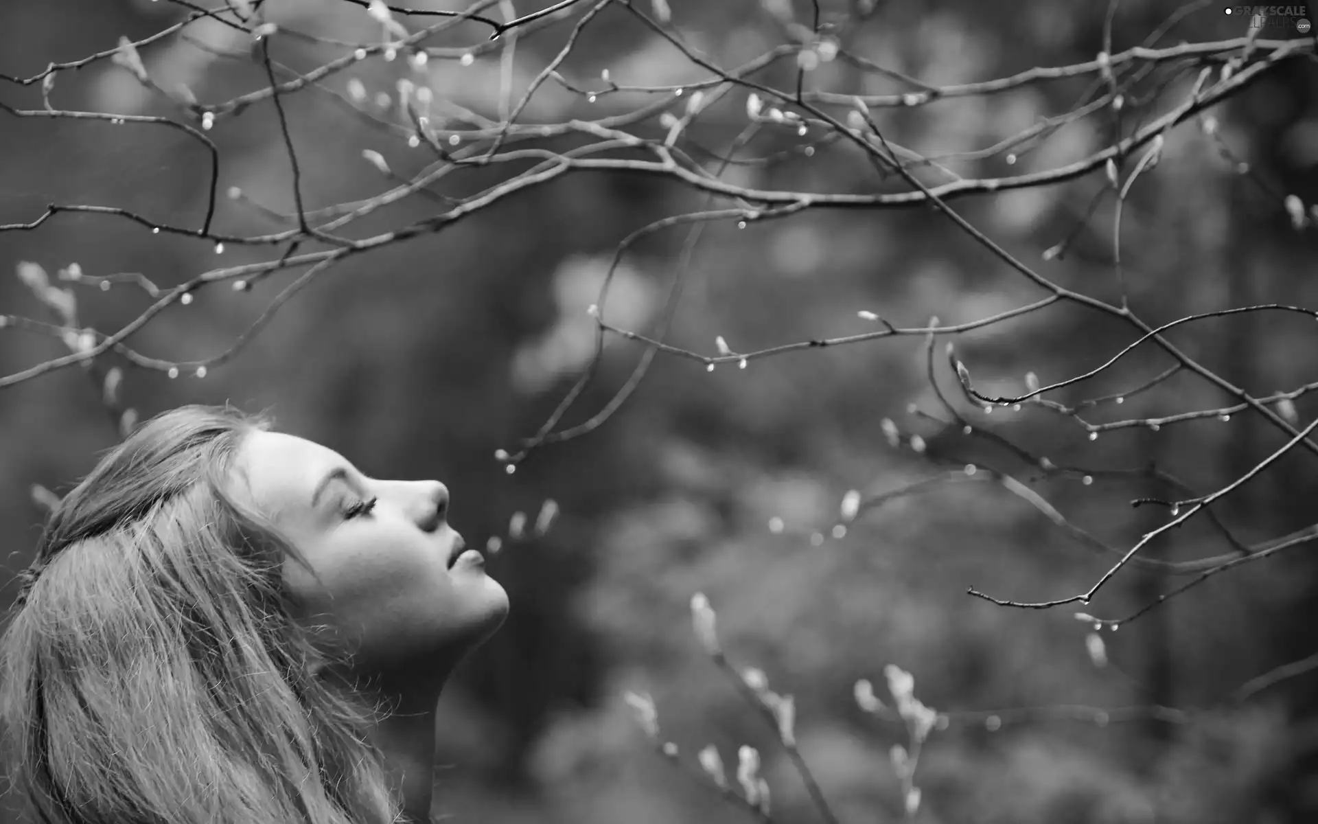 trees, Women, branch pics