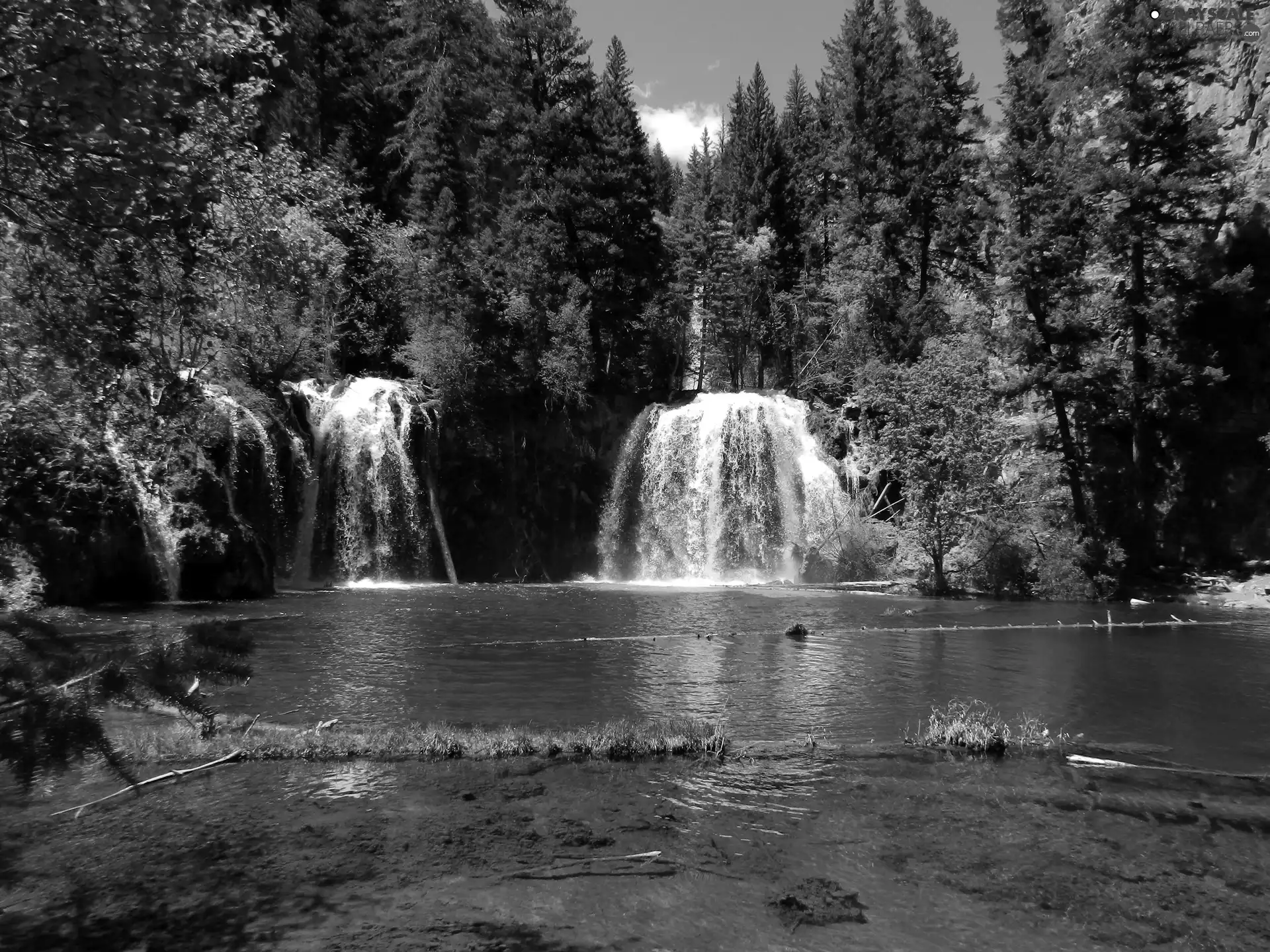 waterfall, viewes, branch pics, trees