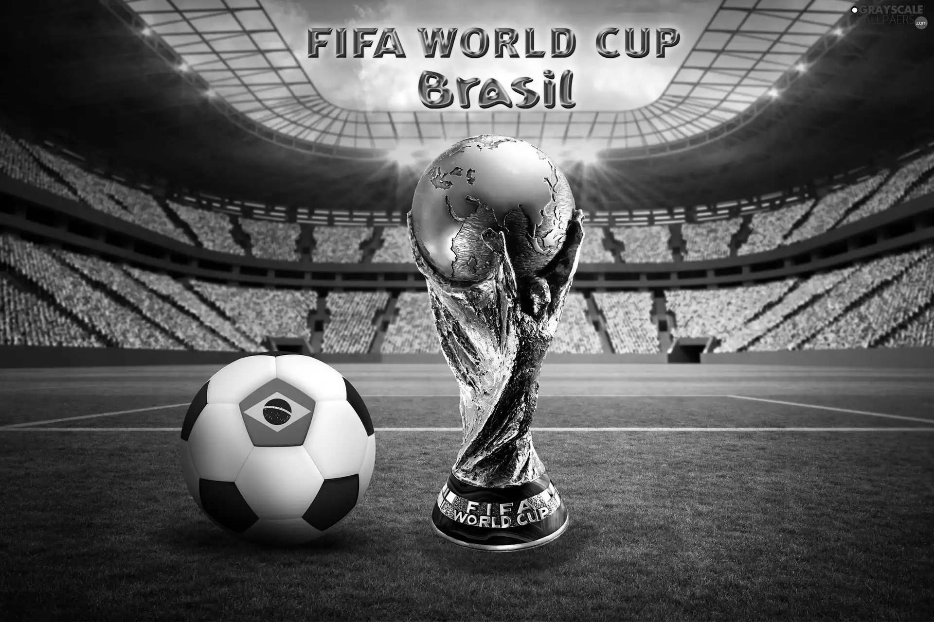 Stadium, cup, Brazil 2014, Ball