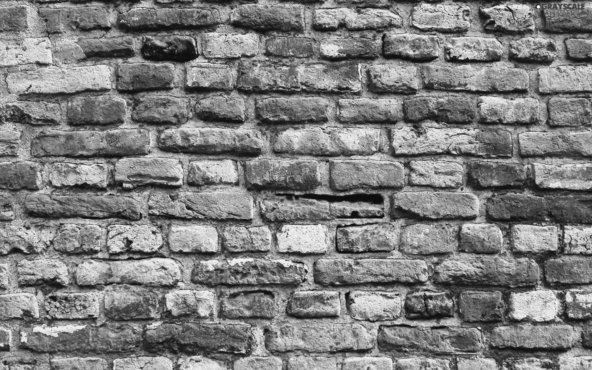 brick, wall, wall