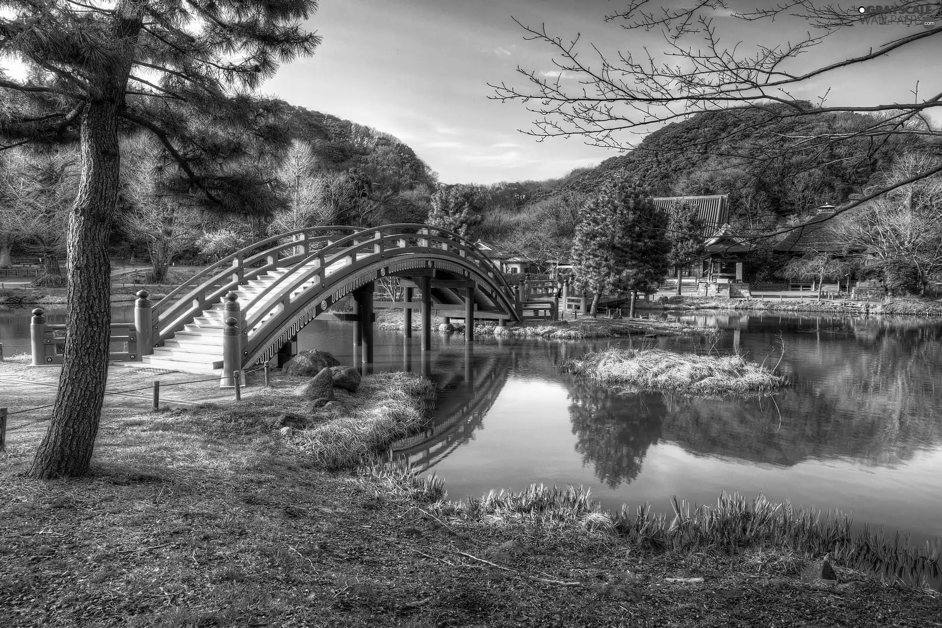 autumn, River, bridge, Park