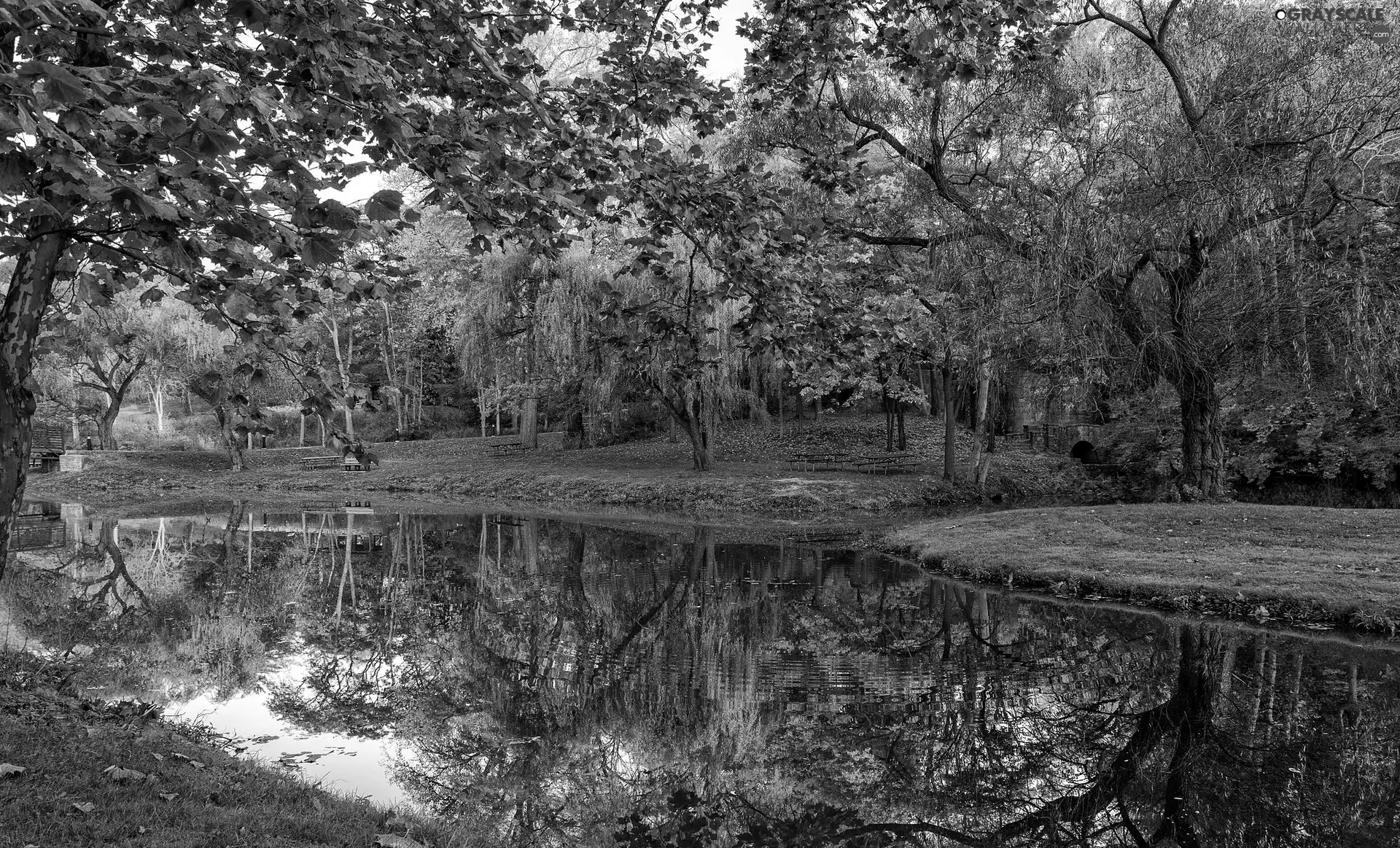 viewes, Park, bench, trees, autumn, Pond - car, bridge