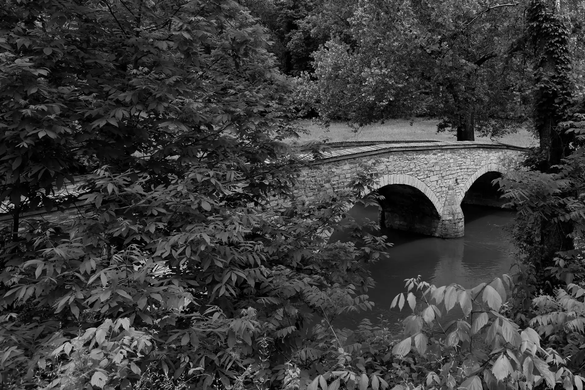 bridge, River, Park