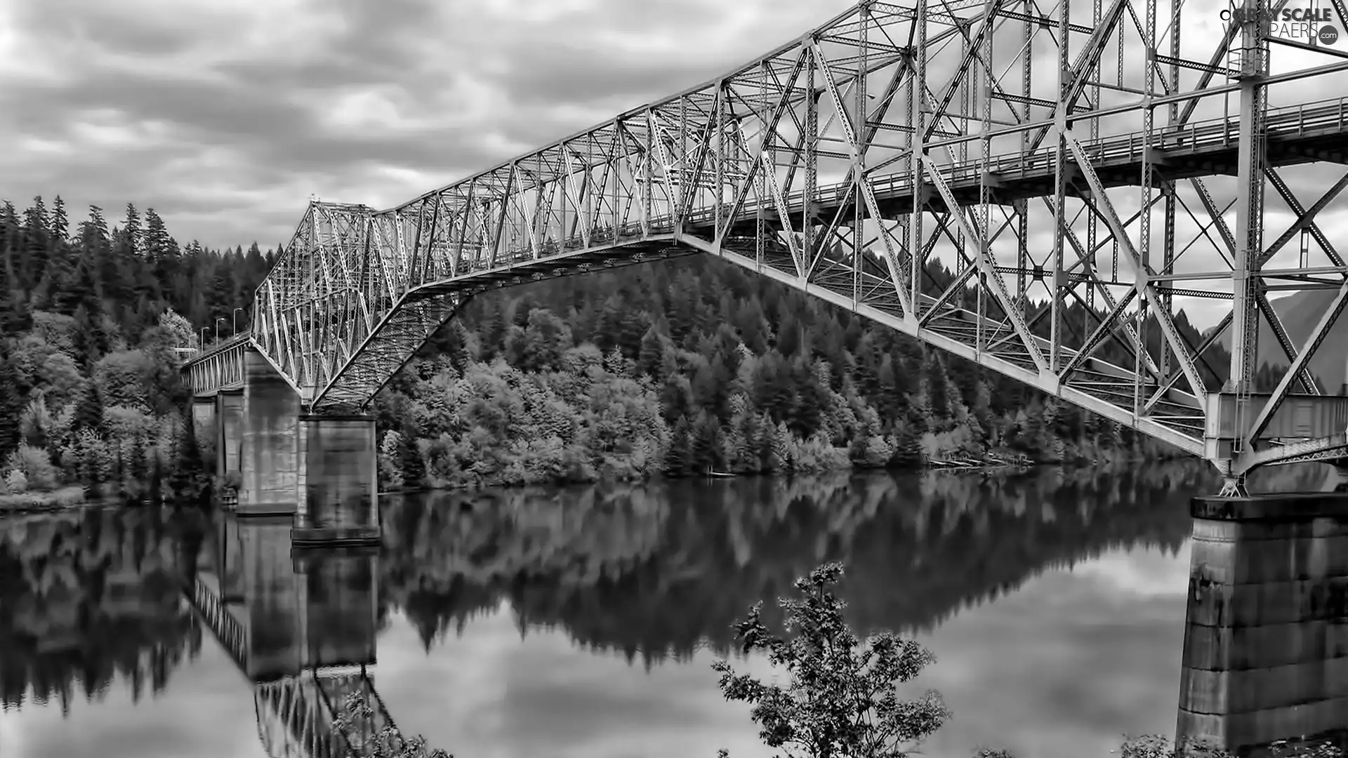 bridge, reflection, forest, River, autumn