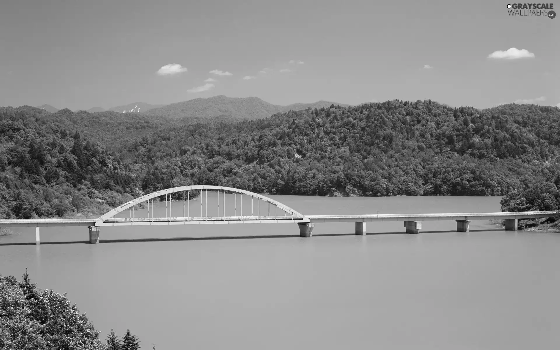 green ones, River, bridge, The Hills