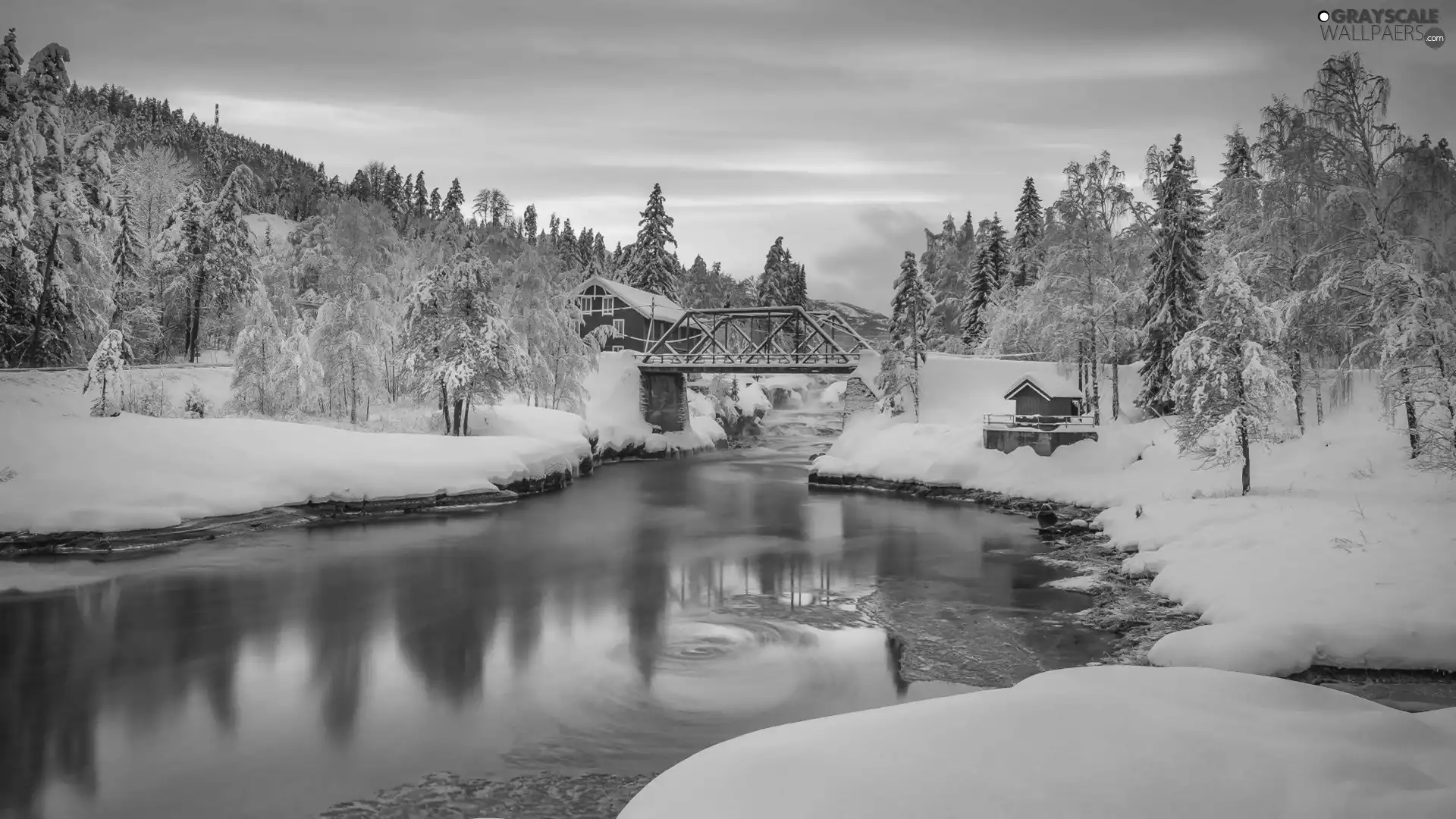 Red, River, trees, bridge, winter, Houses, viewes