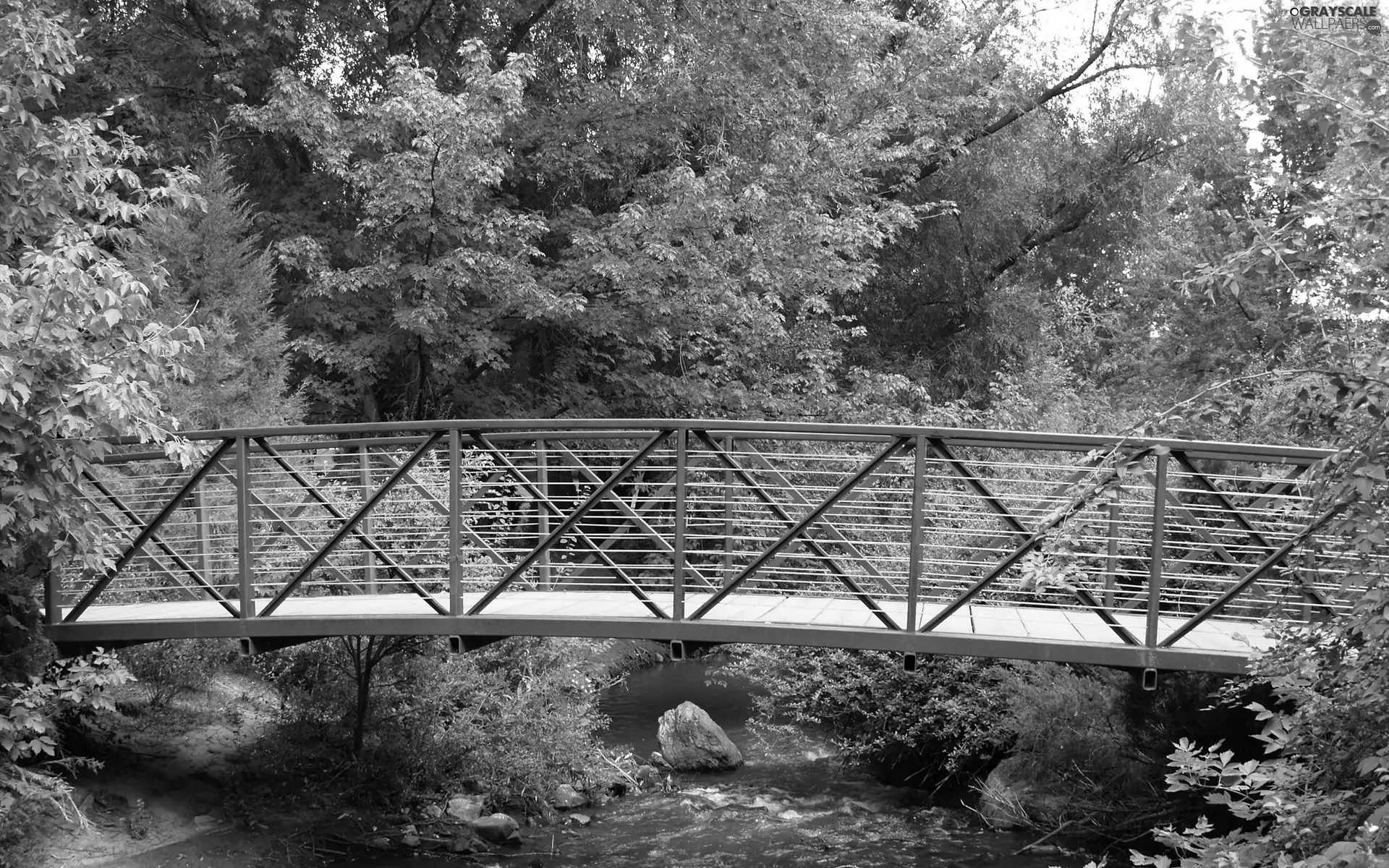 viewes, forest, Stones, bridge, River, trees