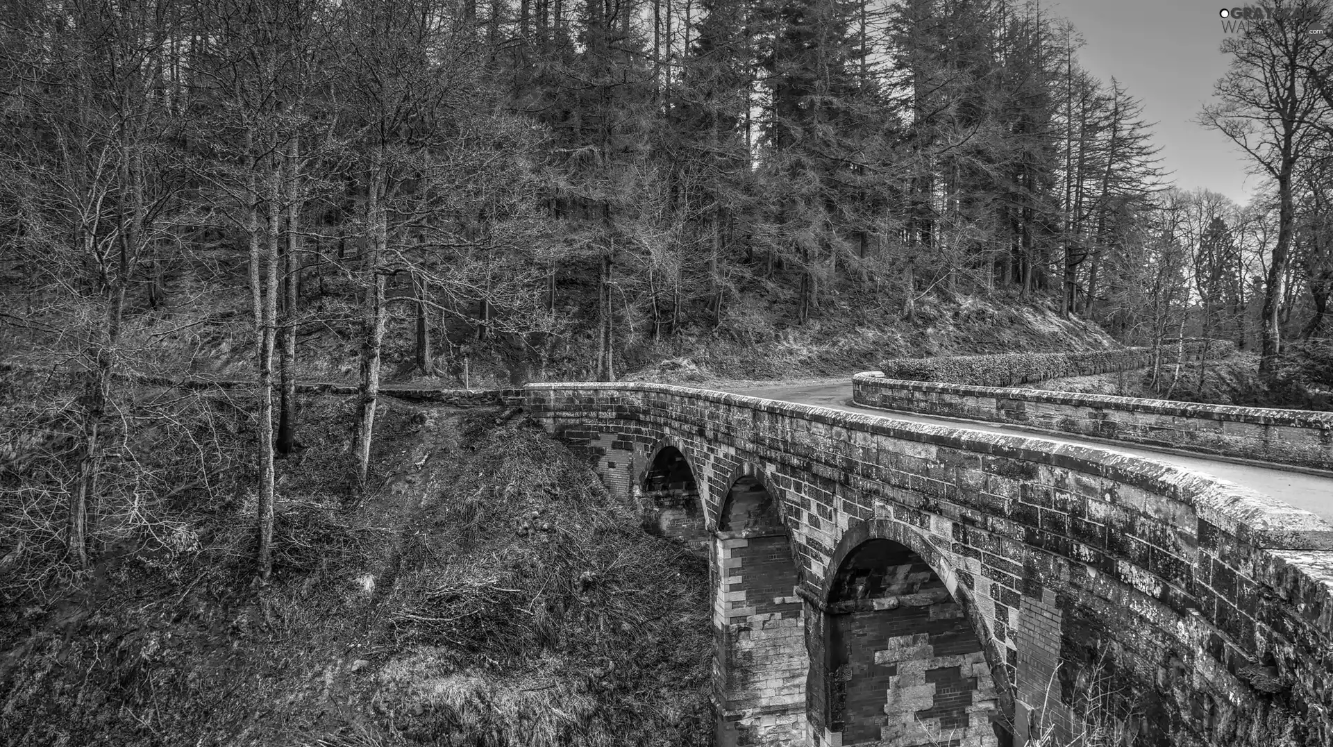 forest, stone, viewes, bridge, Way, trees, autumn