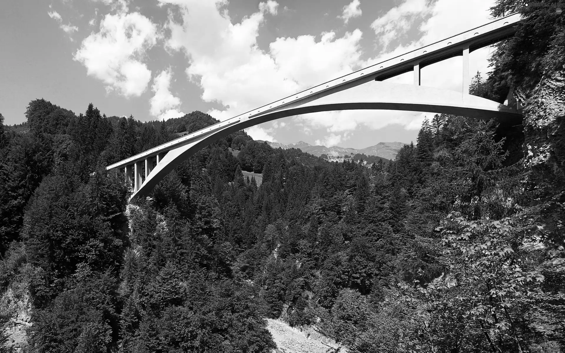 bridge, trees, viewes