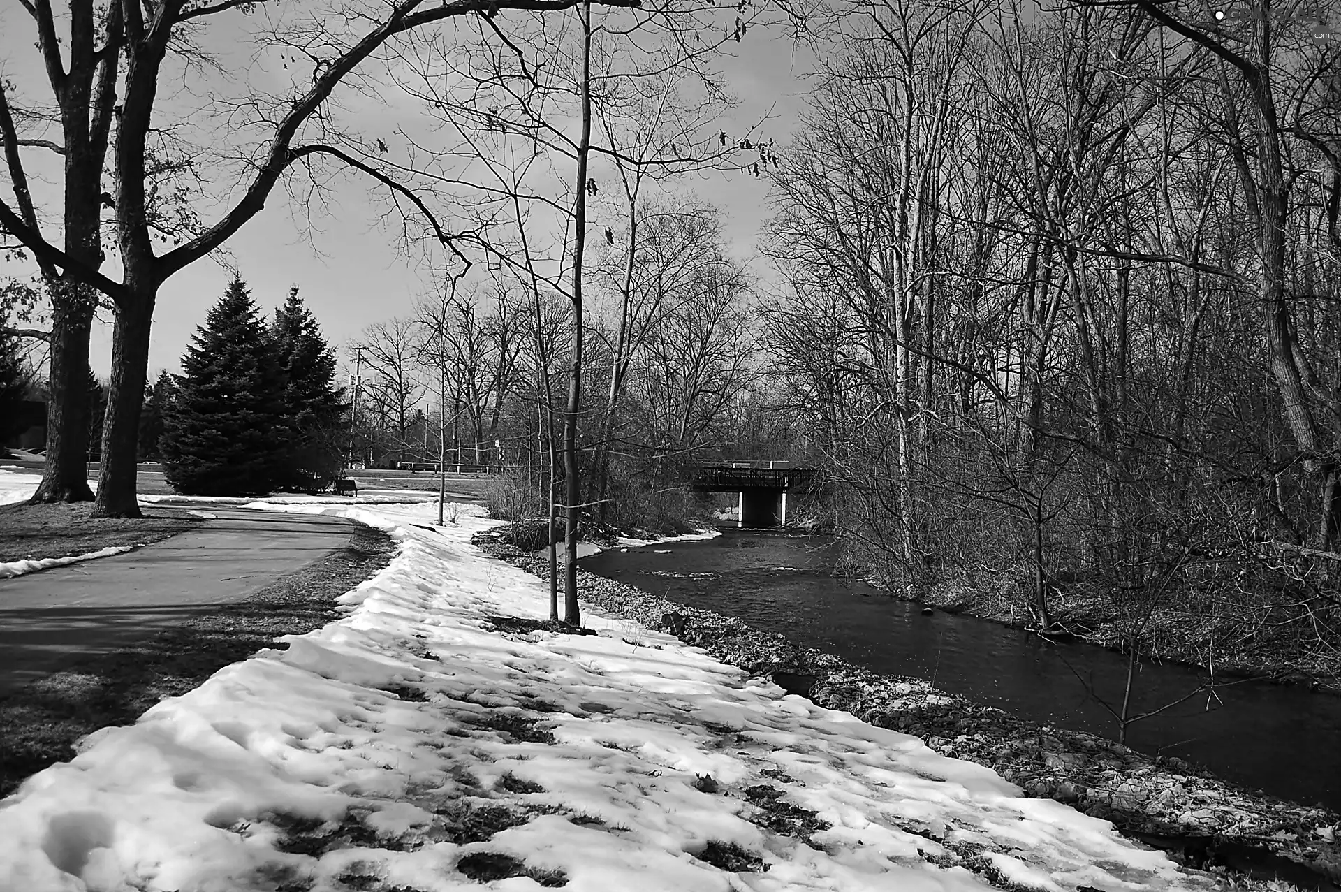 winter, River, bridge, Park