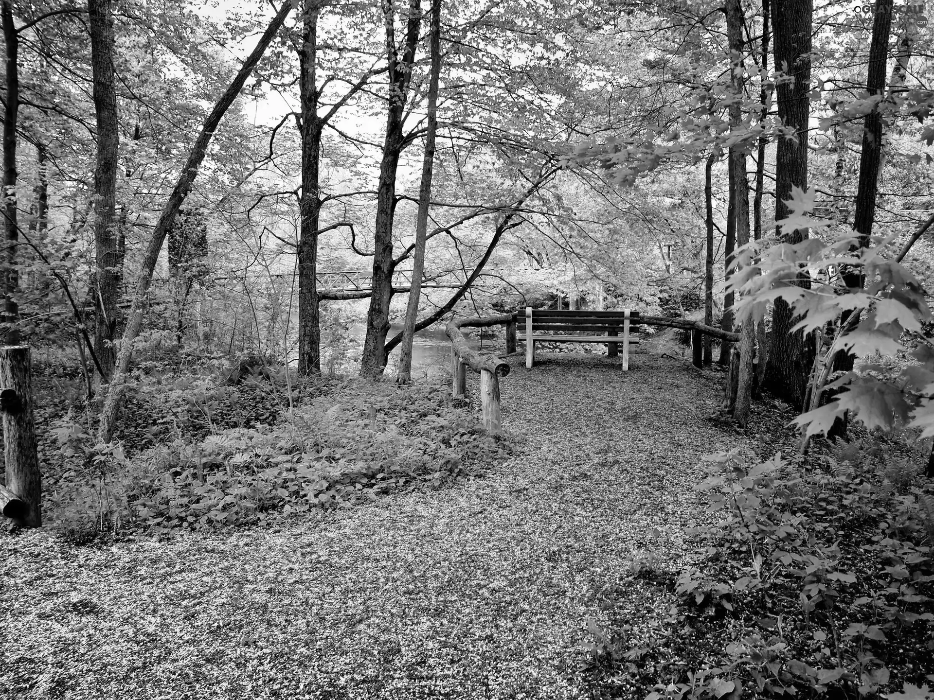 bridges, autumn, Park, brook, Old car