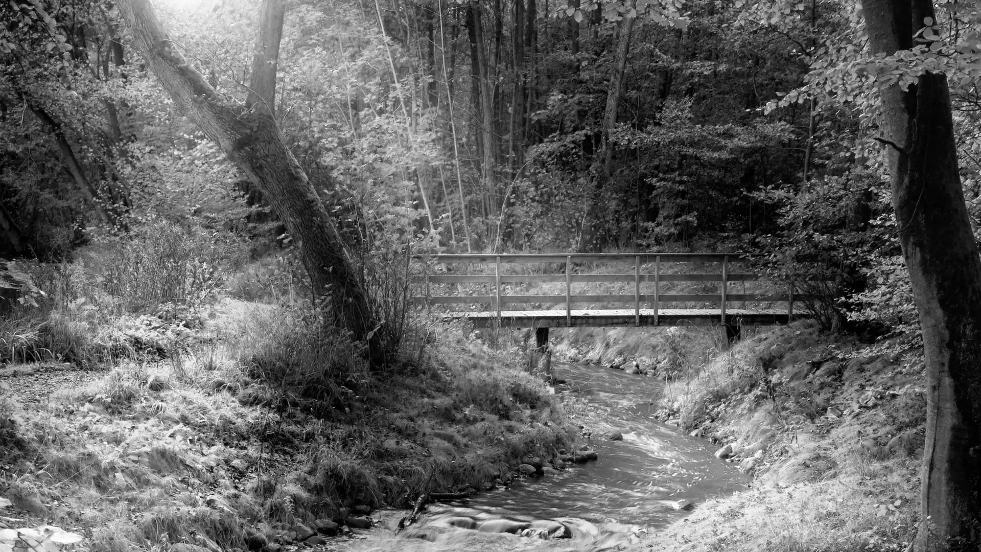 autumn, bridges