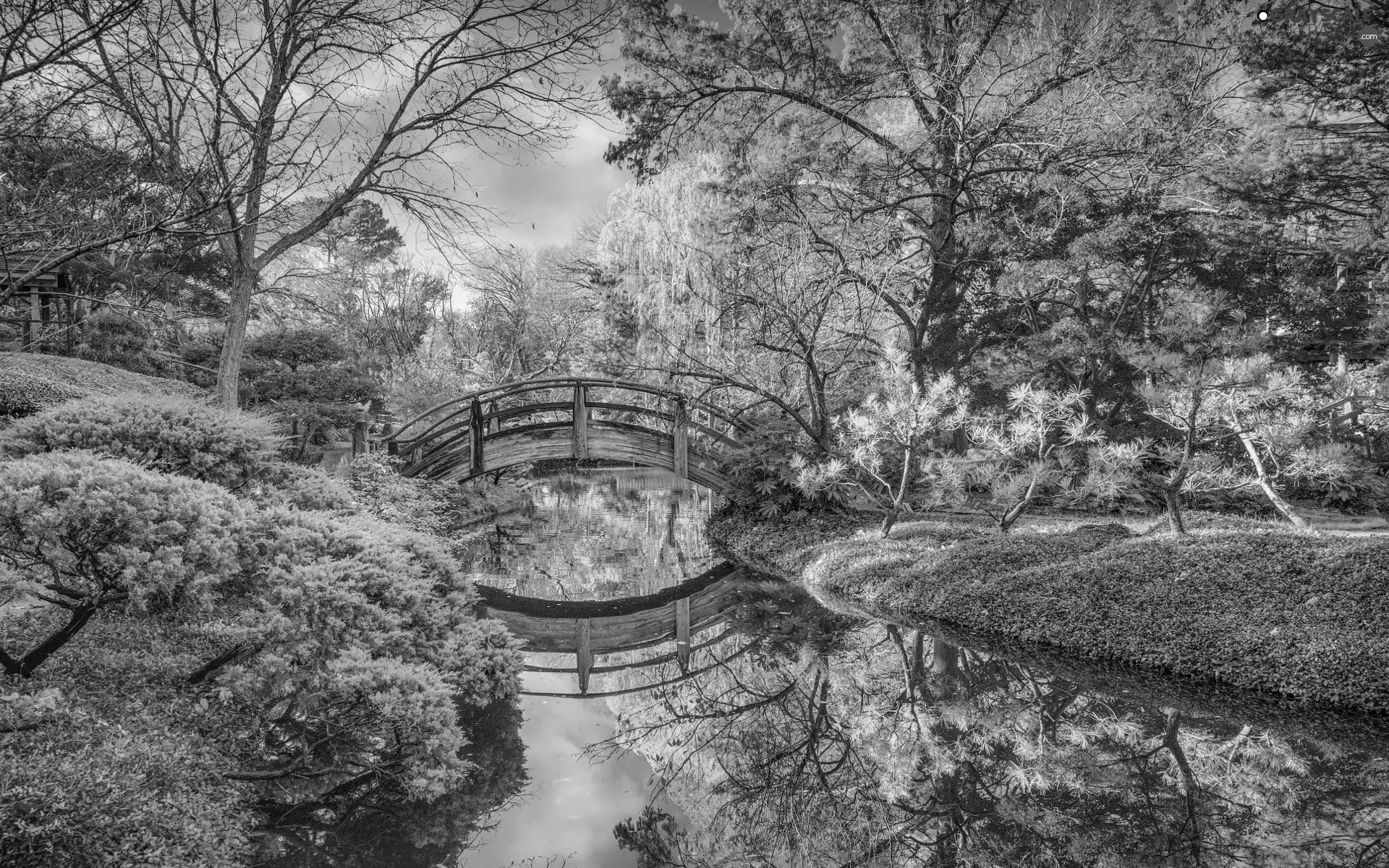 trees, River, Bush, bridges, Garden, viewes, autumn