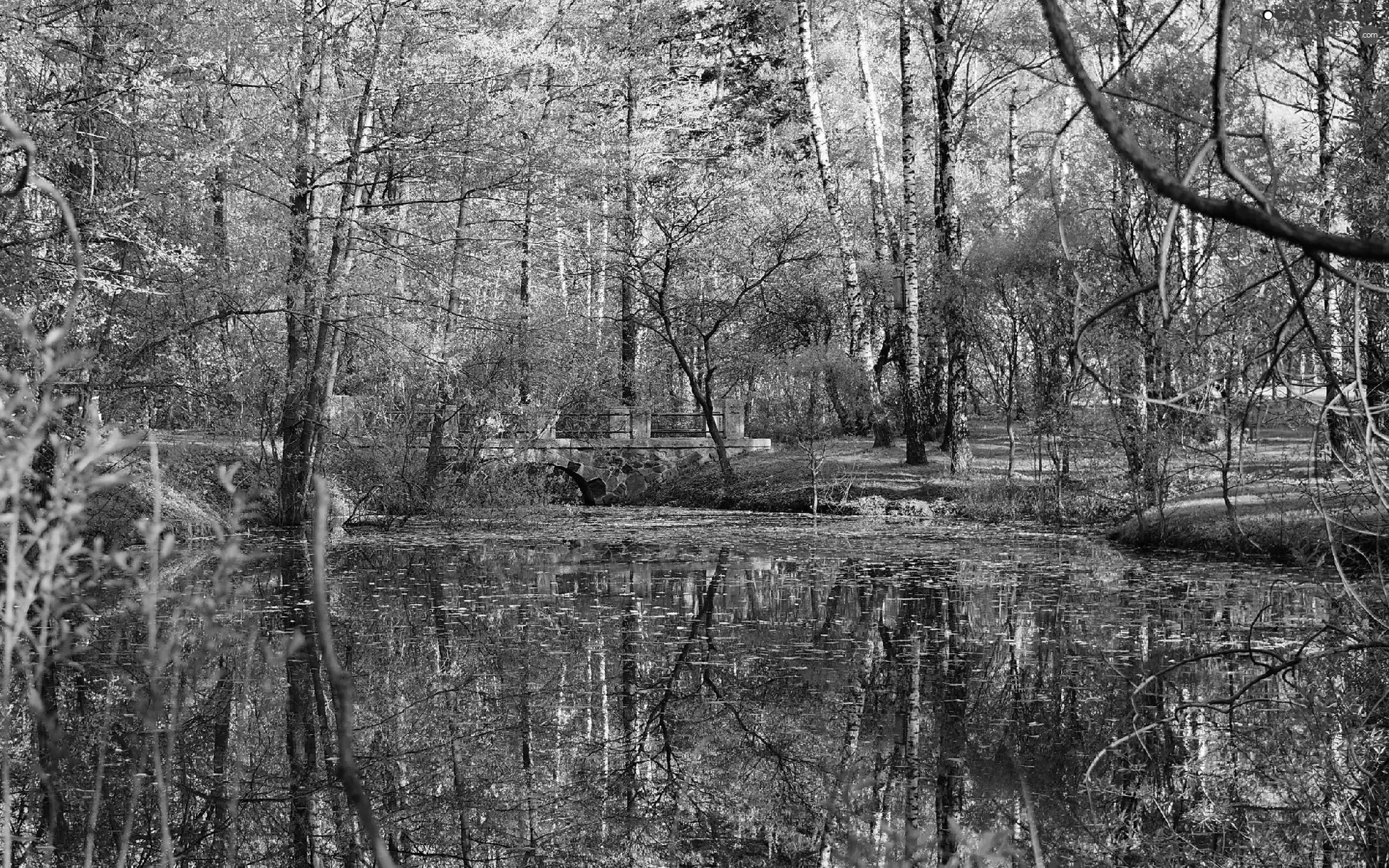 Pond - car, Park, bridges