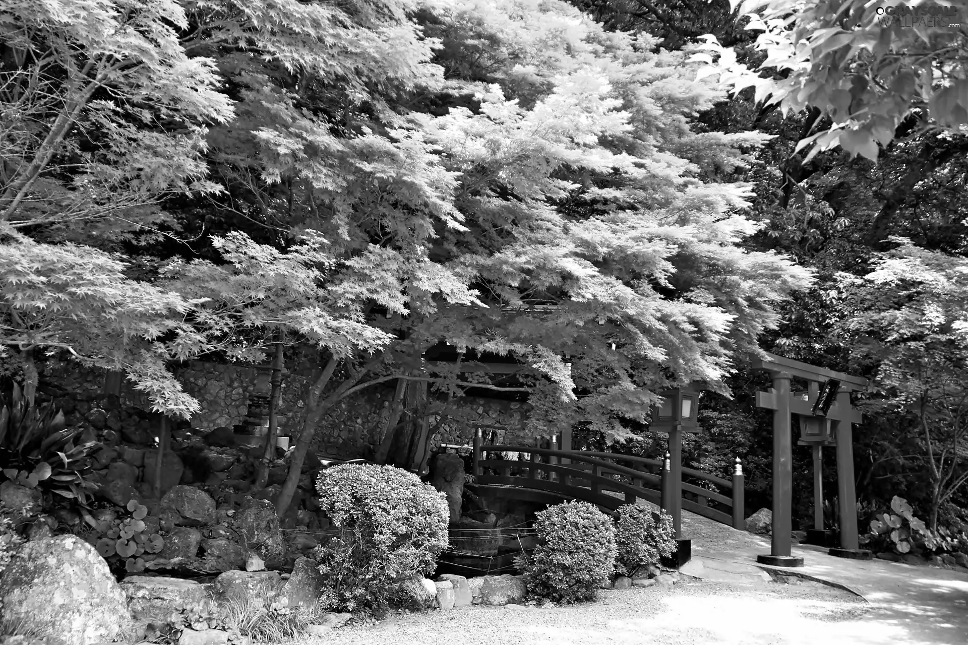 Garden, Red, bridges, japanese