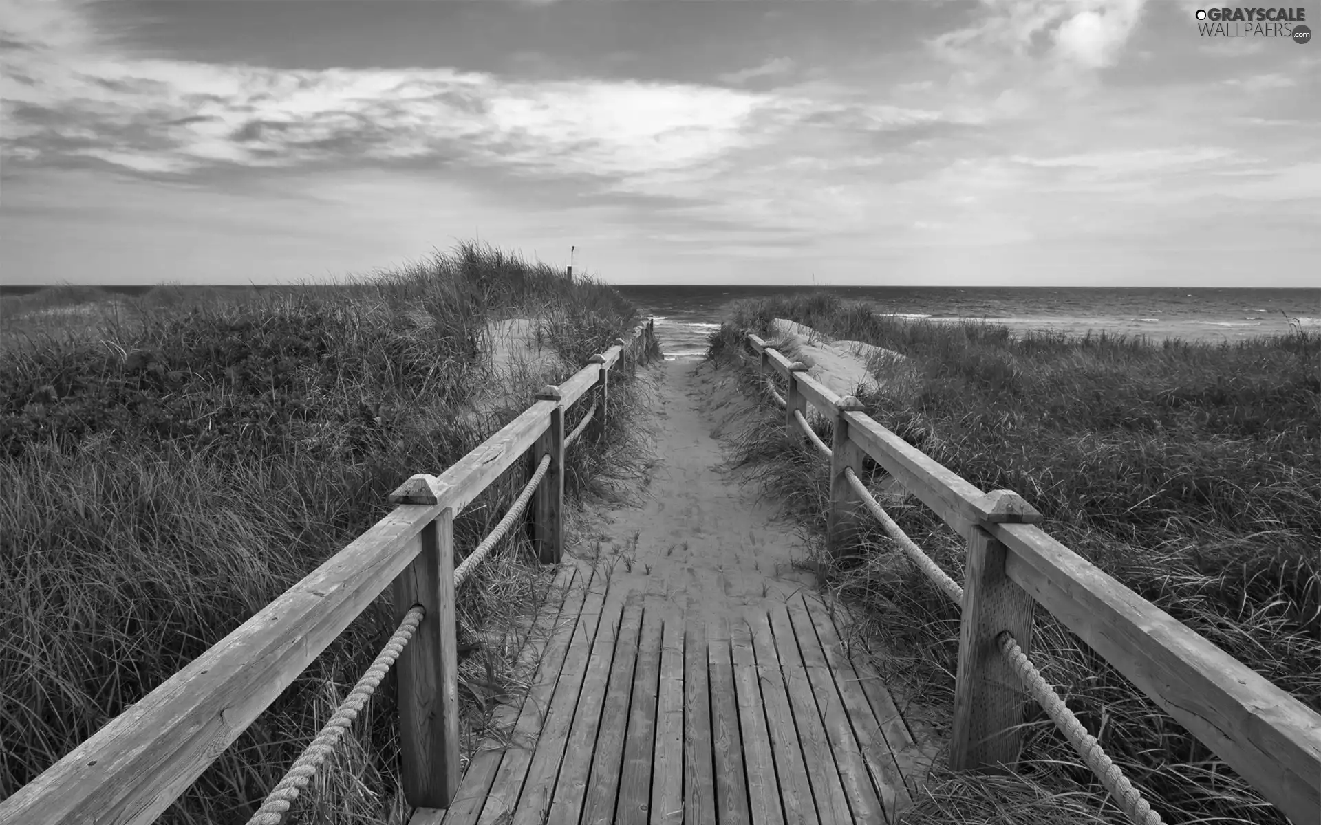 bridges, sea, grass