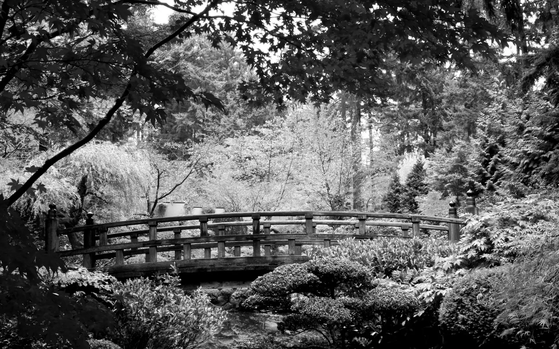 bridges, autumn, Park