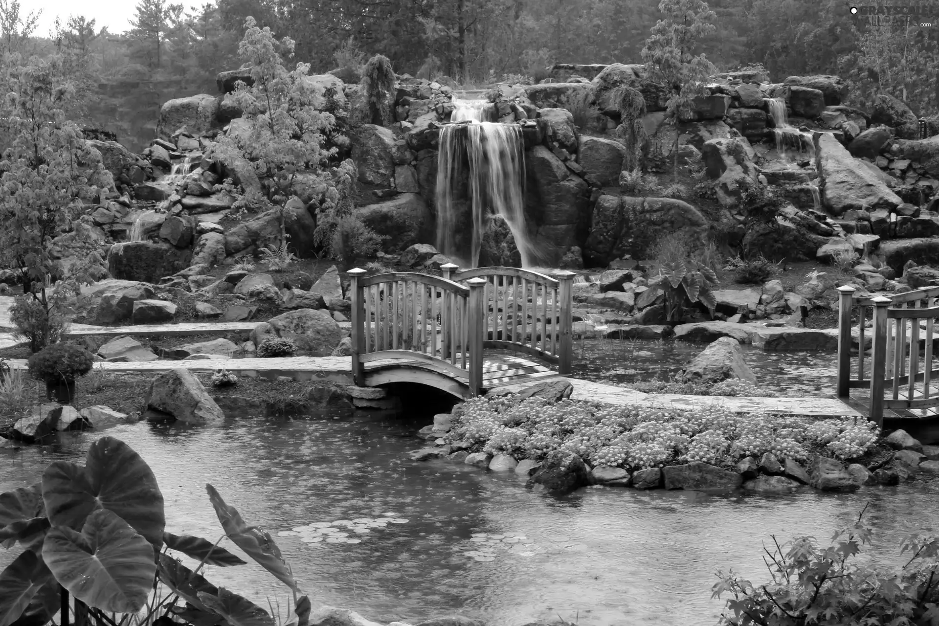 Park, waterfall, bridges, brook