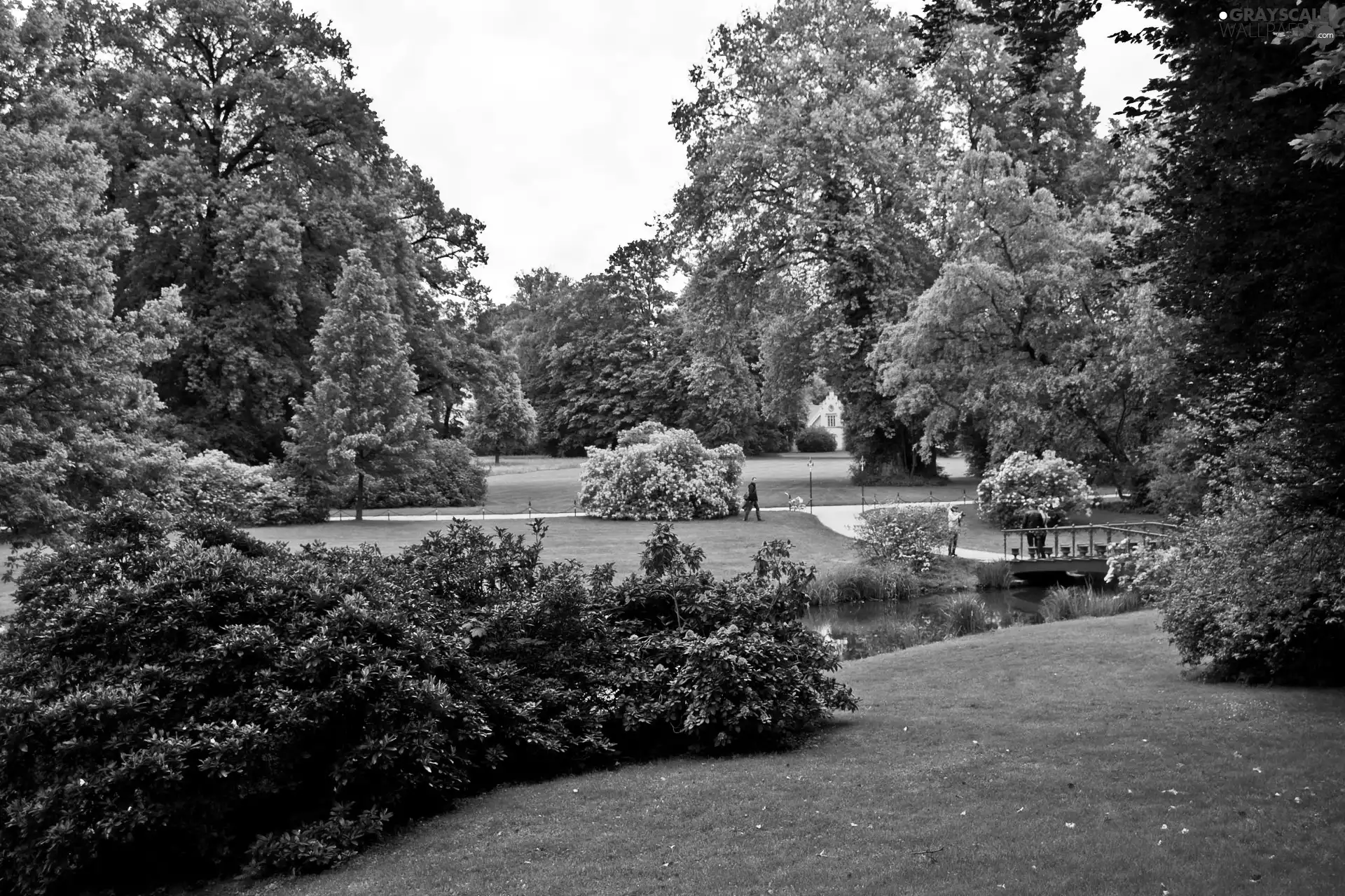 Park, bridges