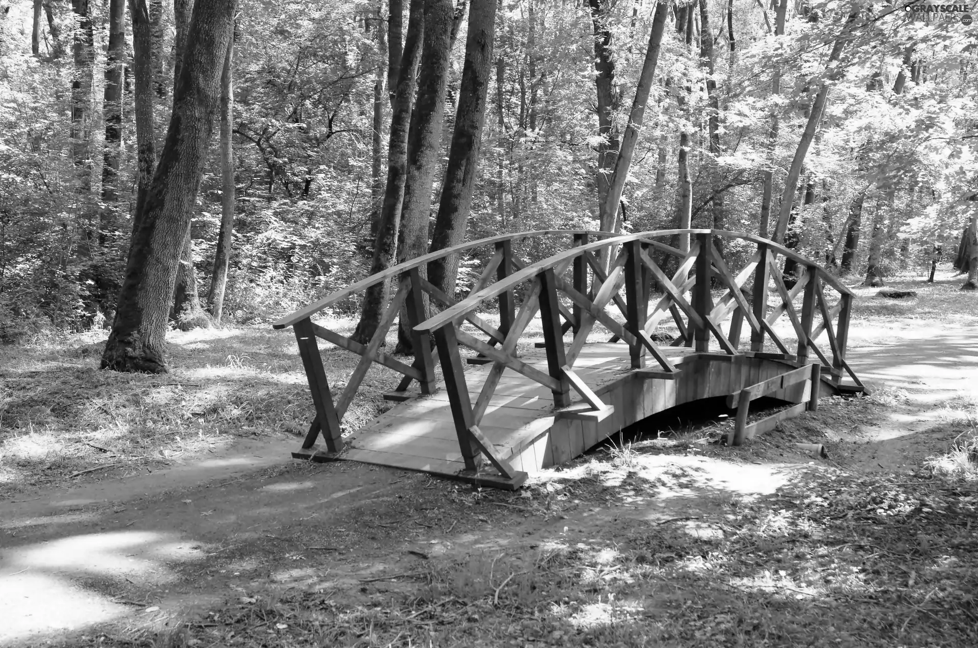 bridges, Park, wooden