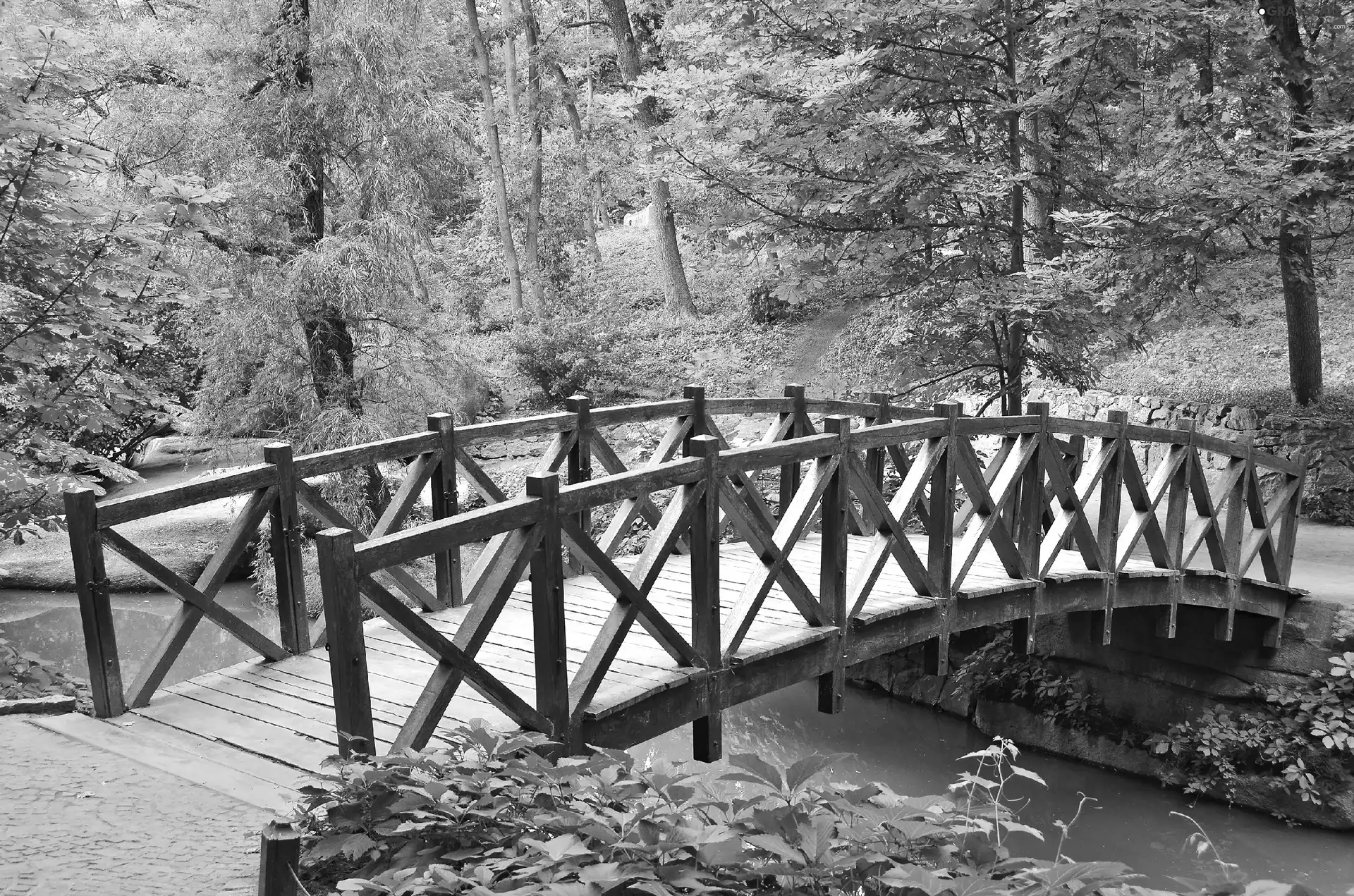 brook, forest, bridges