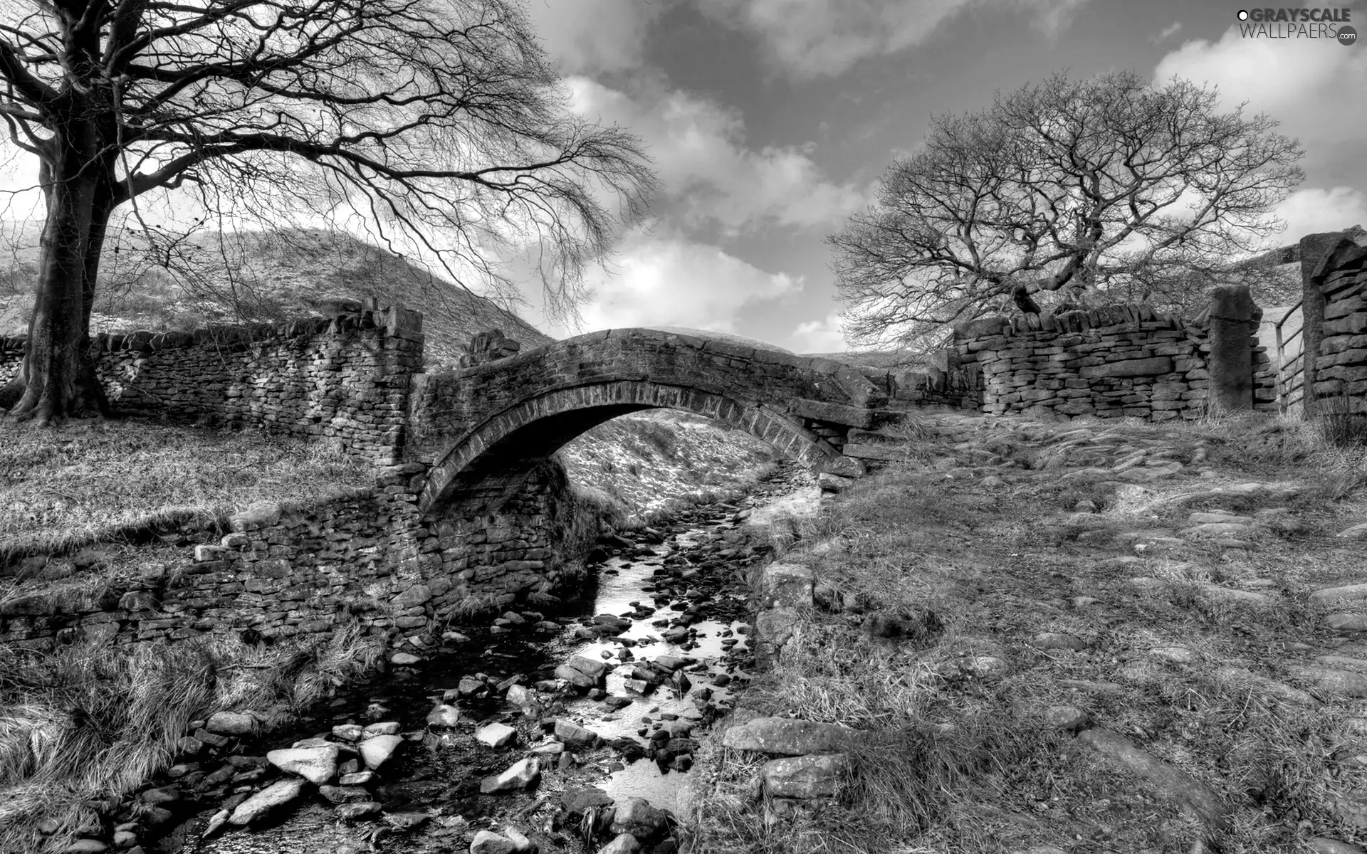 brook, stone, bridges