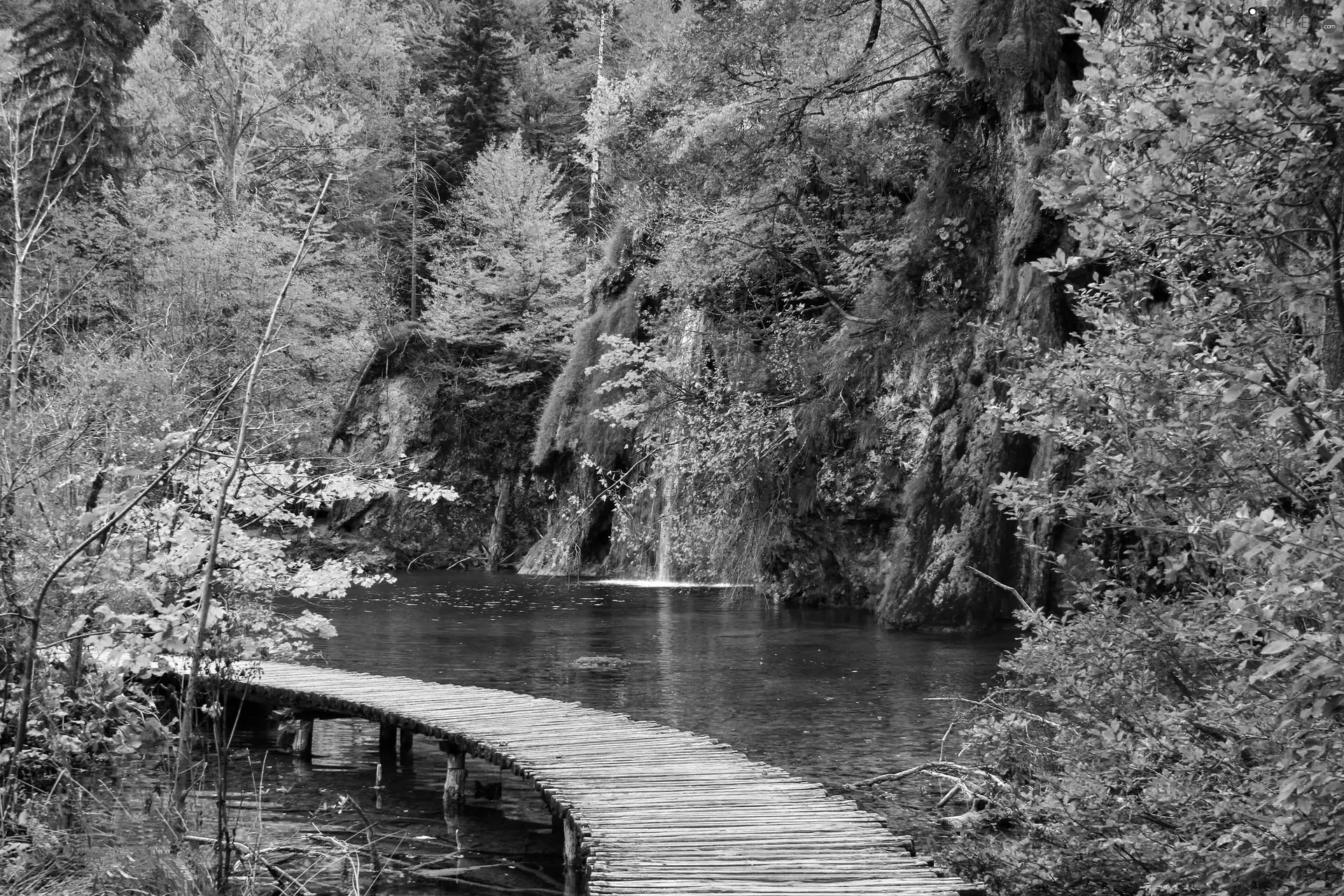 viewes, autumn, brook, footbridge, waterfall, trees