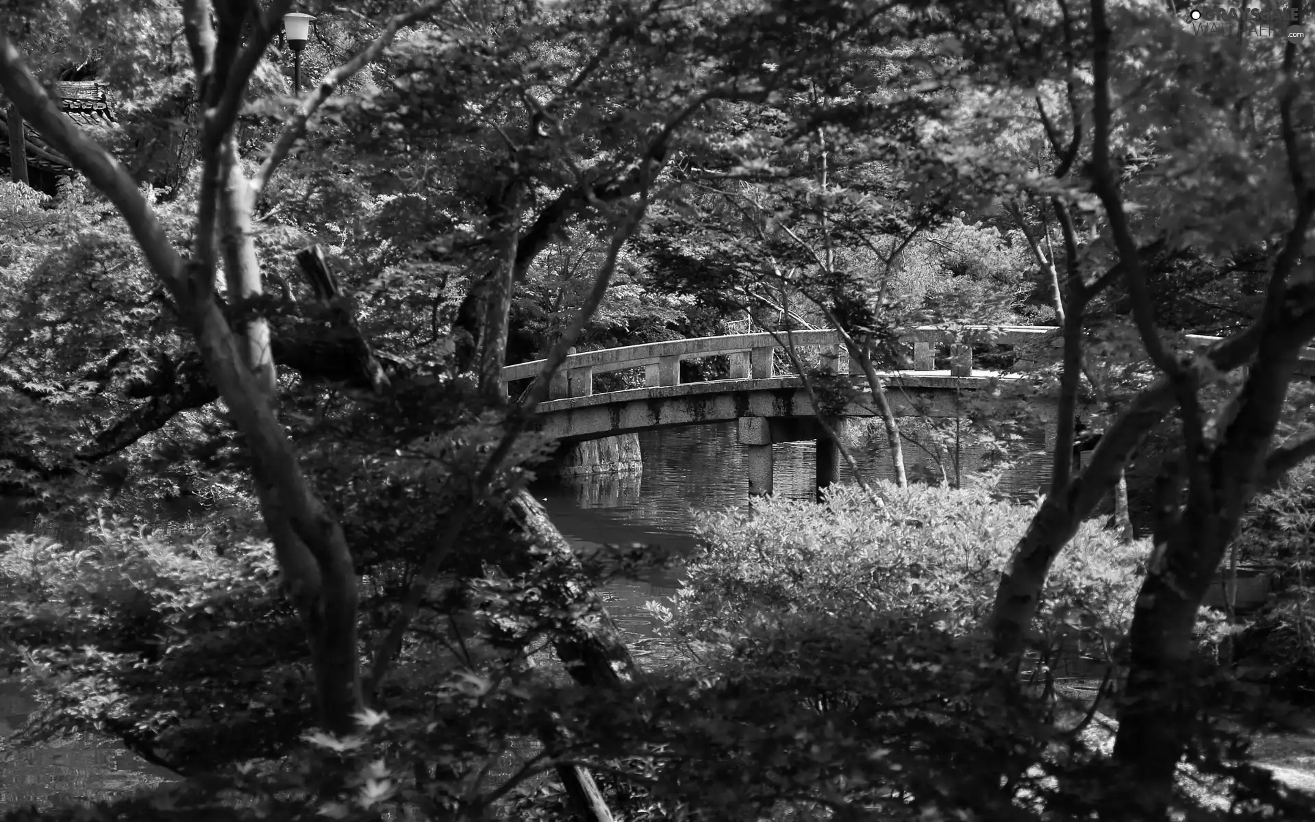 japanese, bridge, brook, Garden