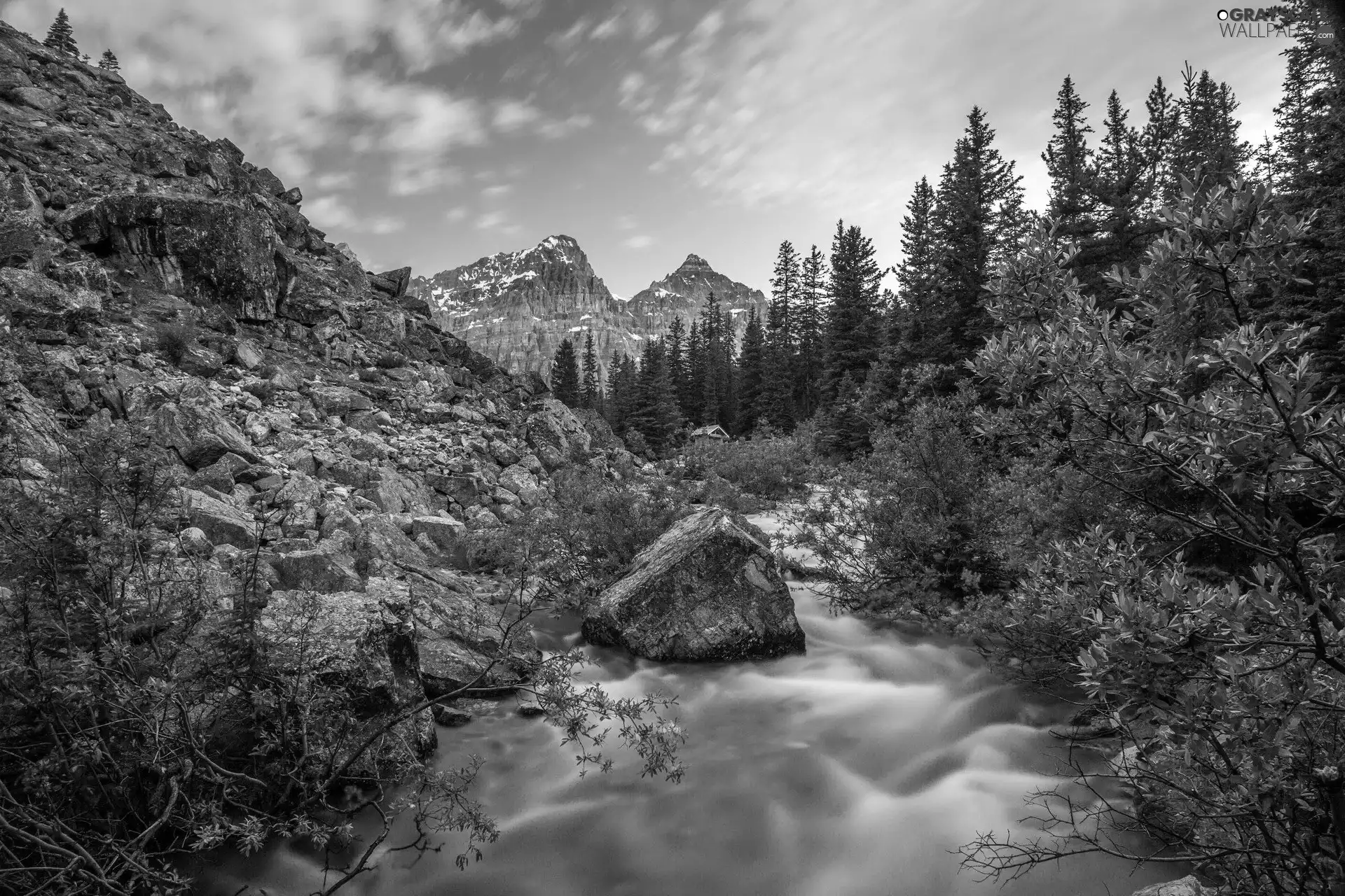 rocks, viewes, brook, trees