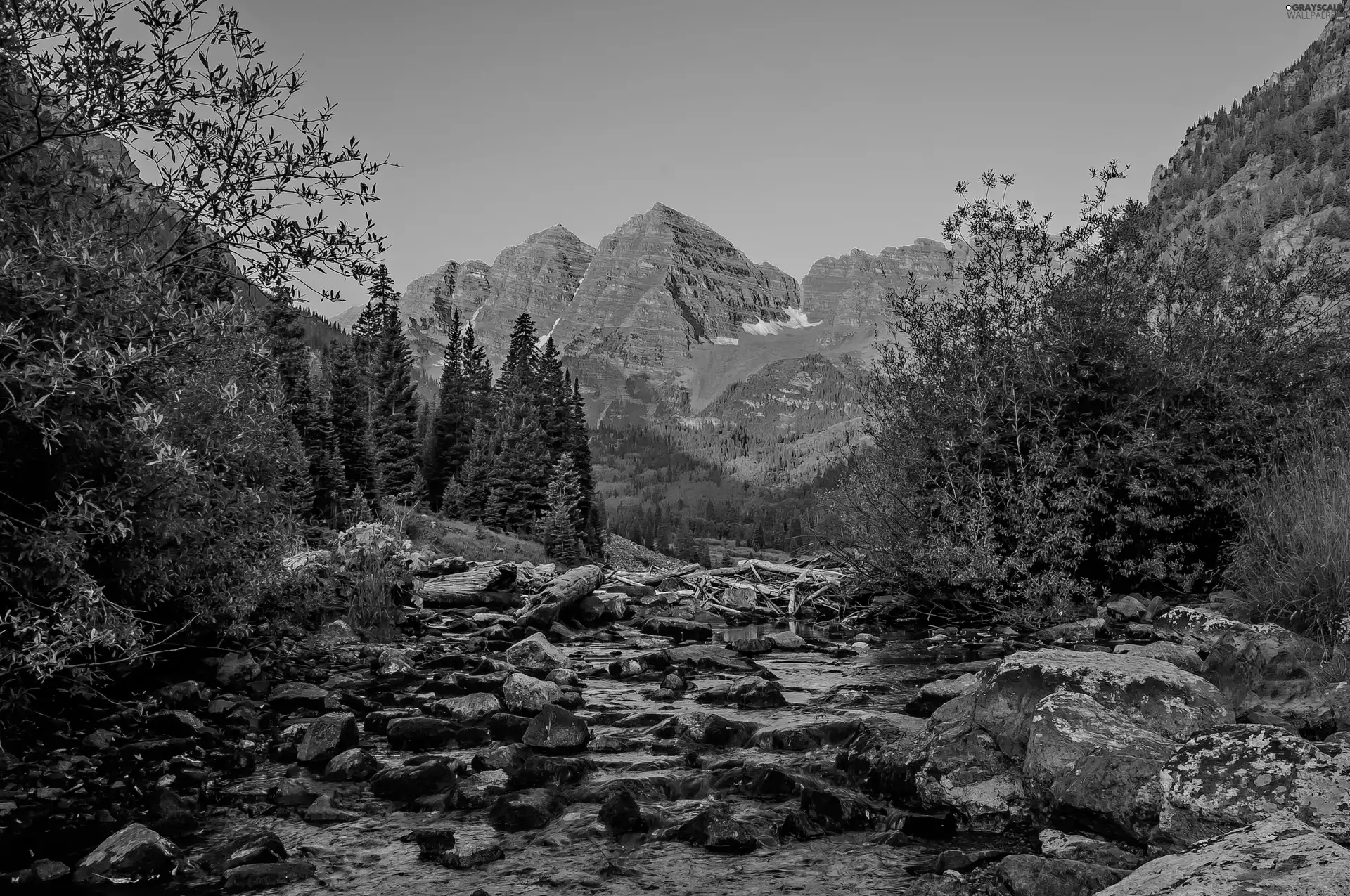 brook, Stones, trees, viewes, Mountains