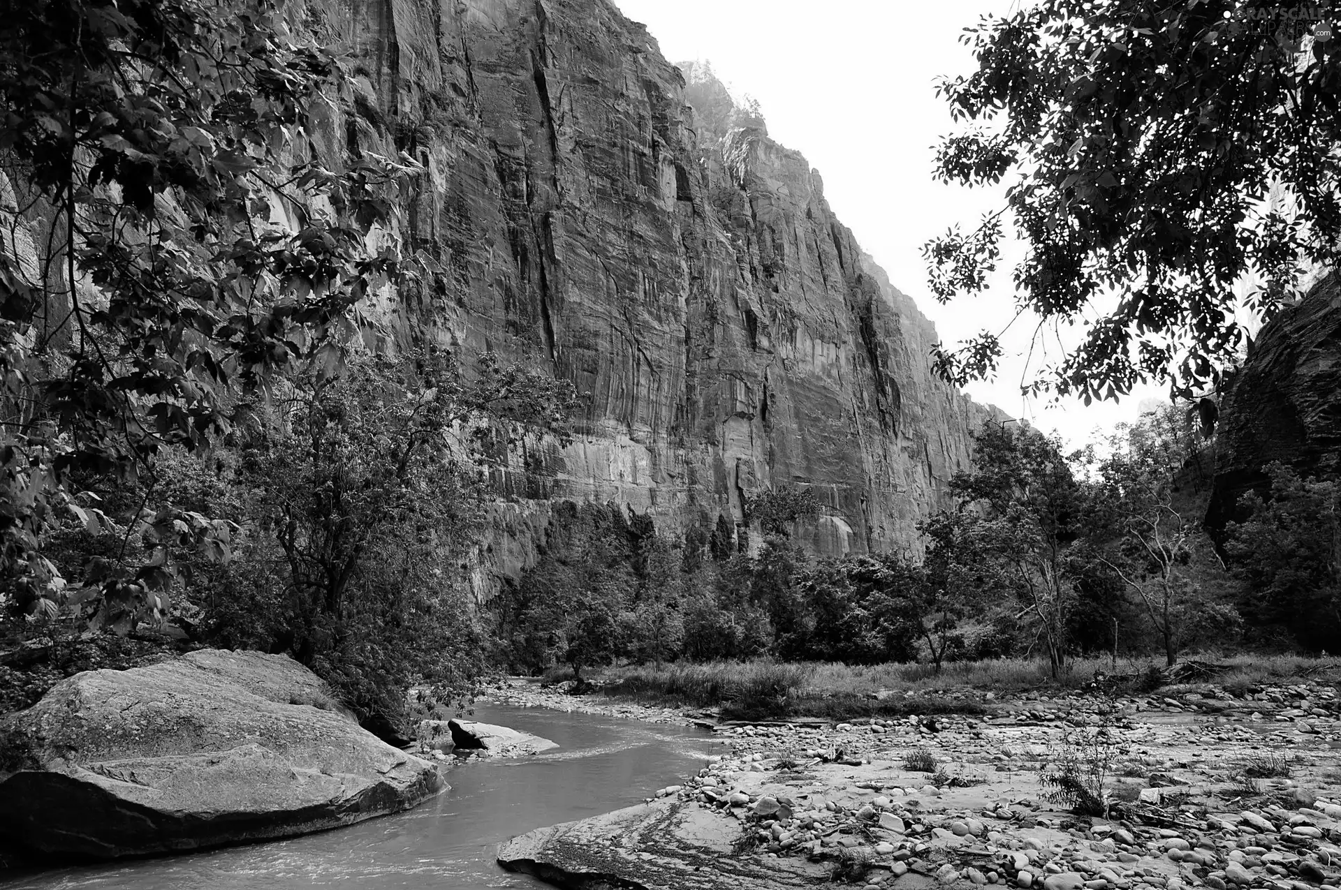 brook, Stones, trees, viewes, Mountains