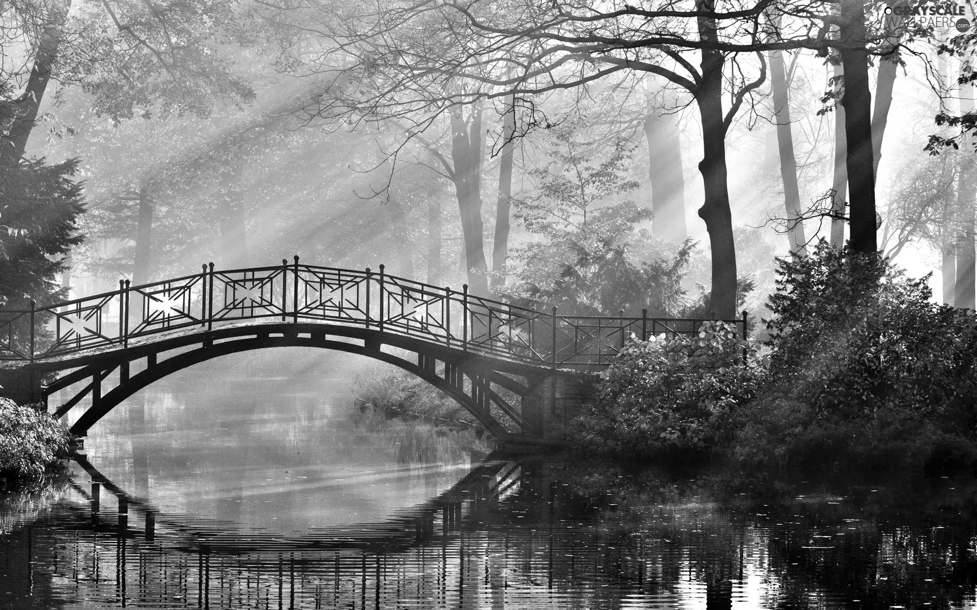 bridges, trees, rays, viewes, Park, brook, sunny