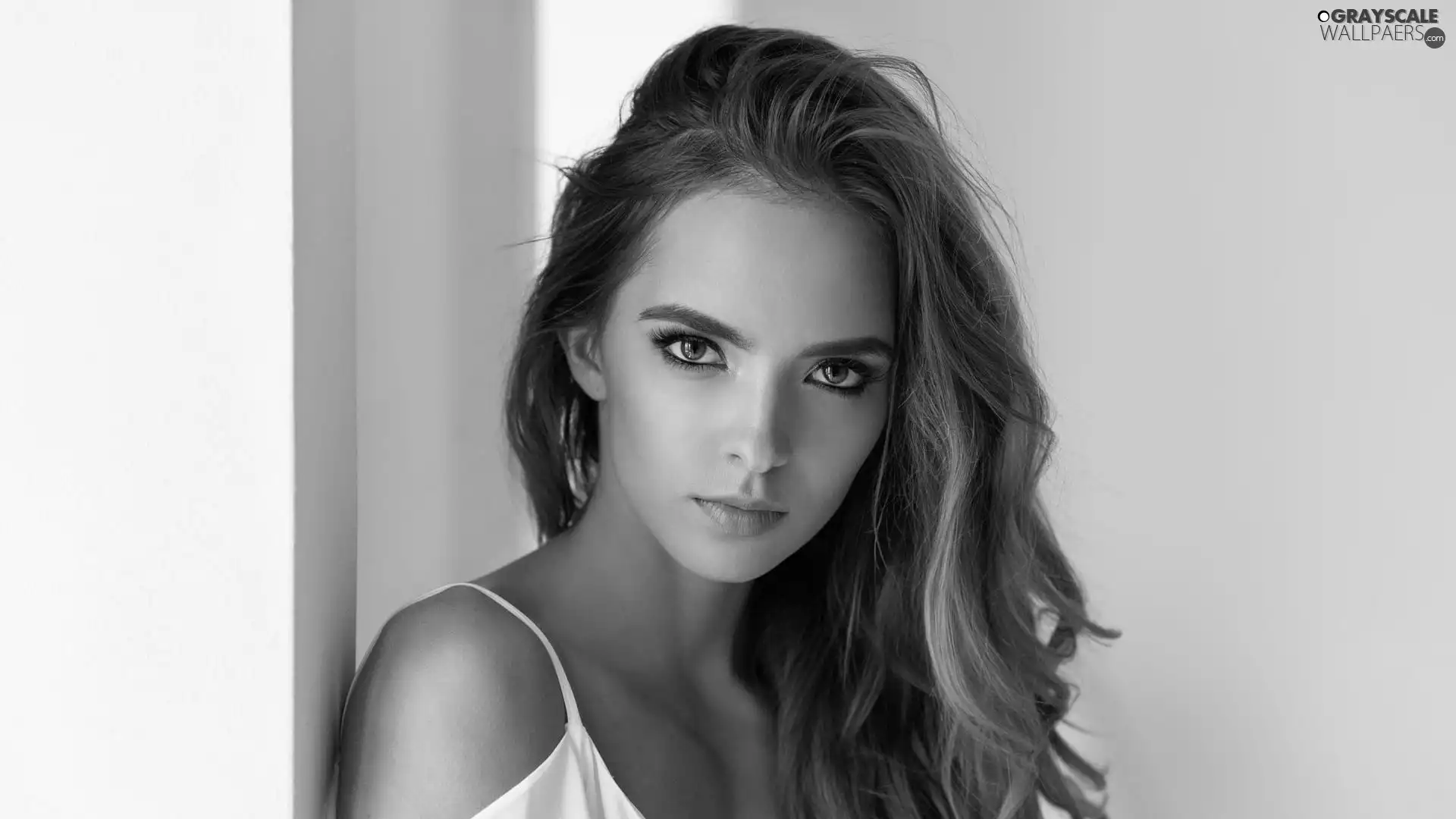 face, longhaired, light brown