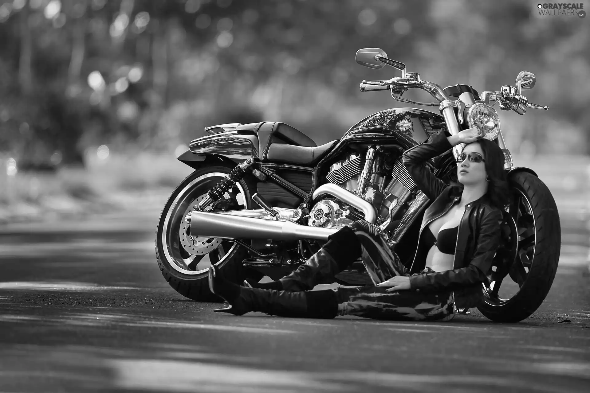 Harley, Beauty, brunette, Davidson