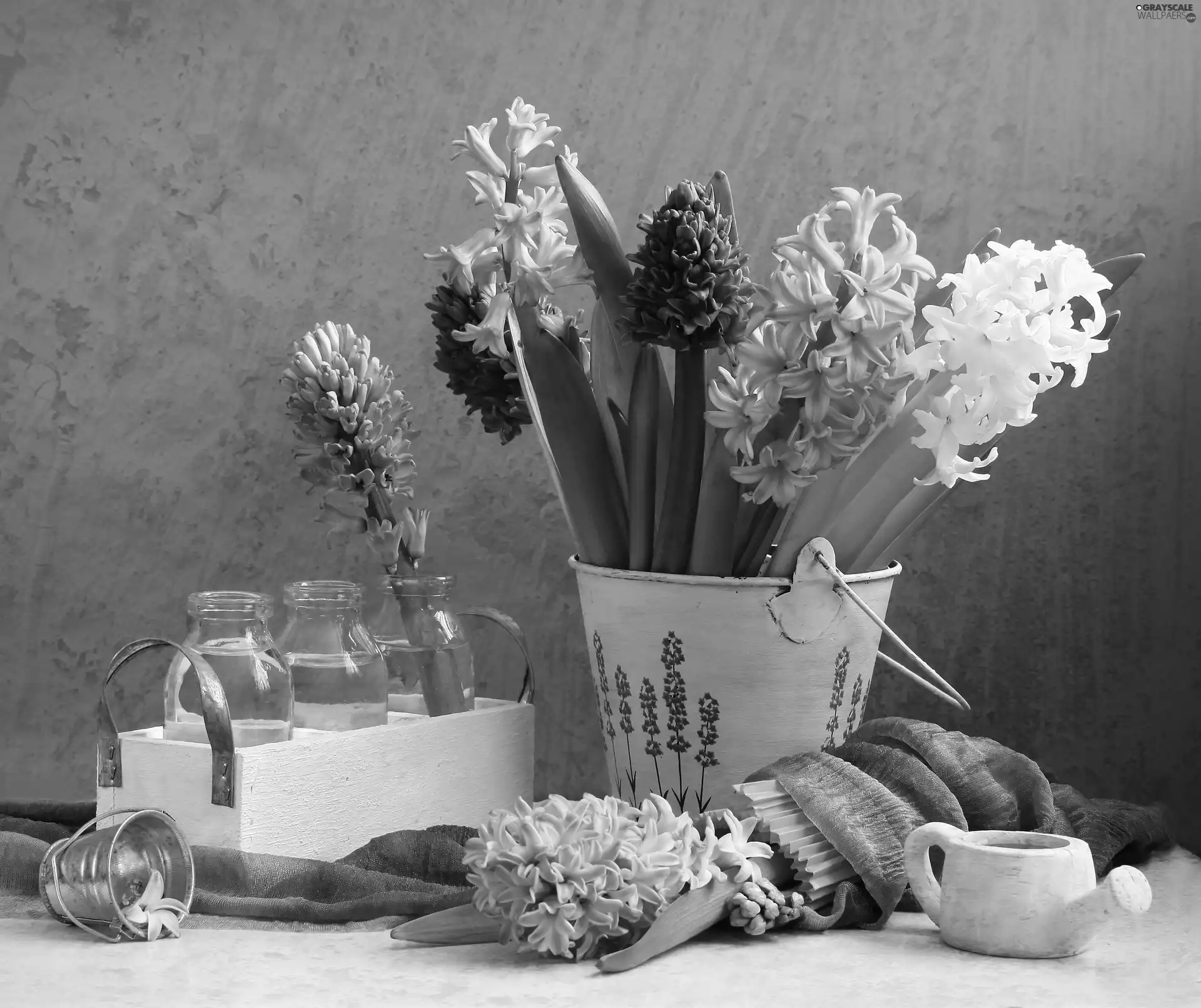 Flowers, Bucket