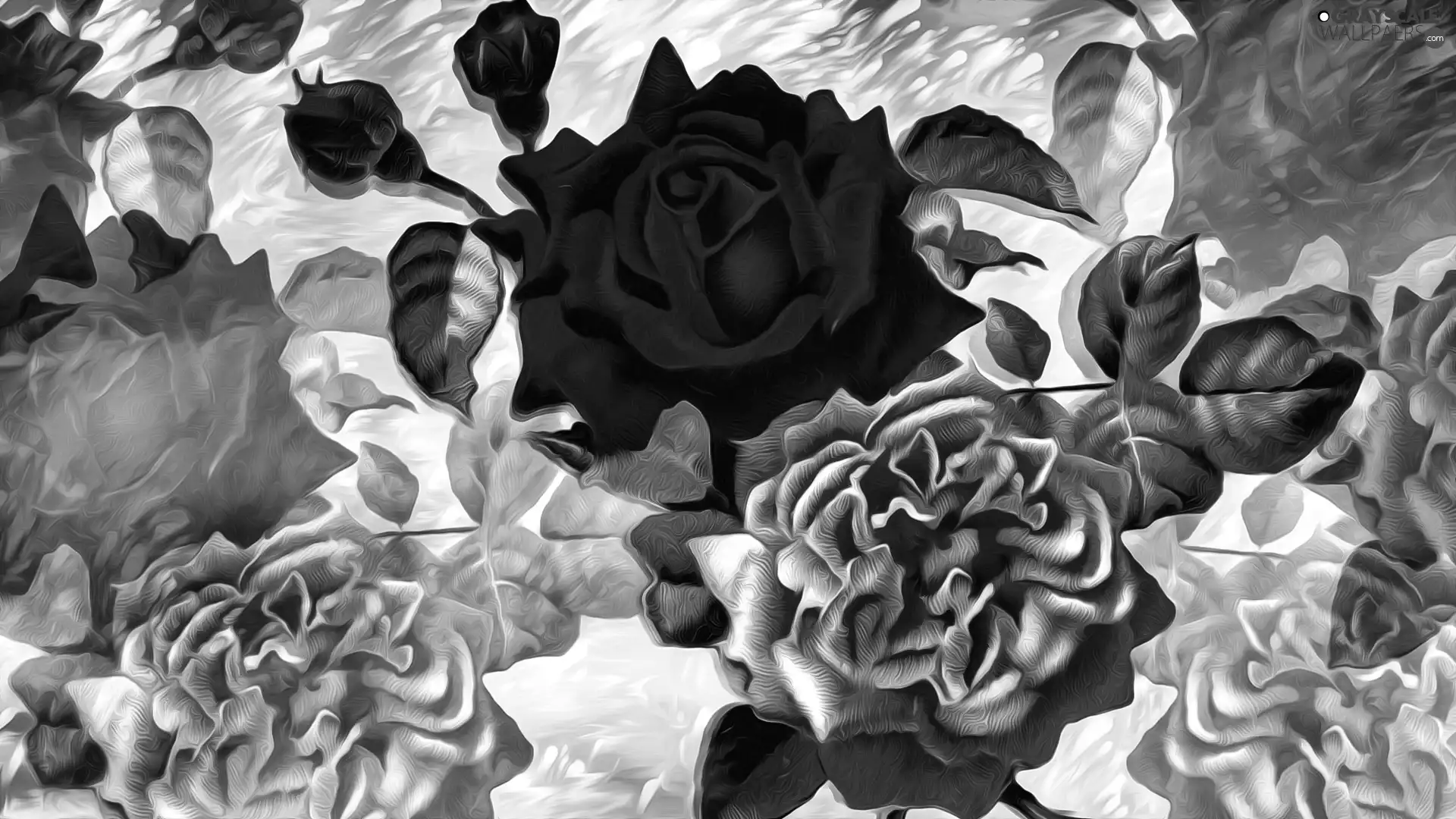 Flowers, roses, graphics, Buds