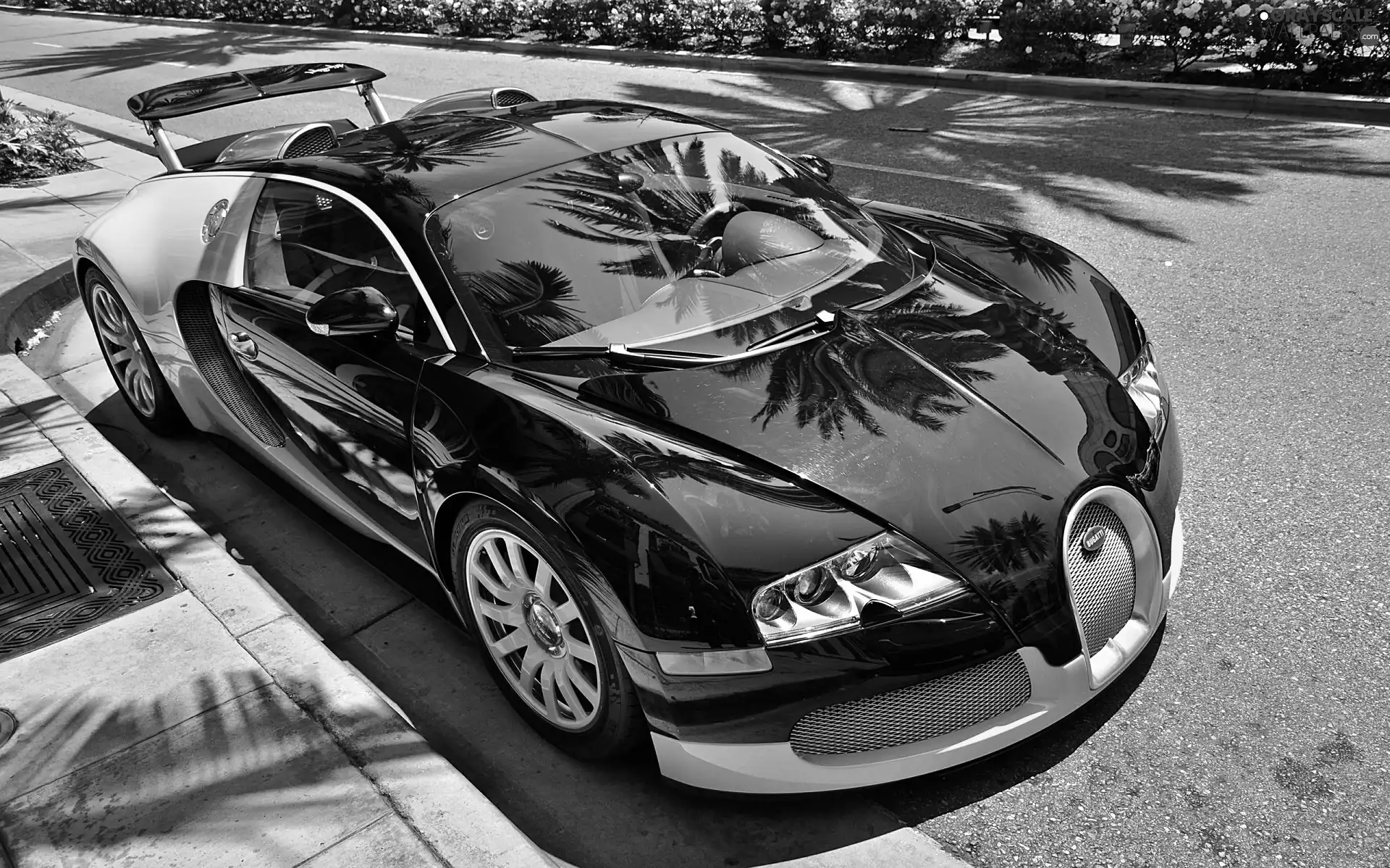 4, Black, Bugatti Veyron 16