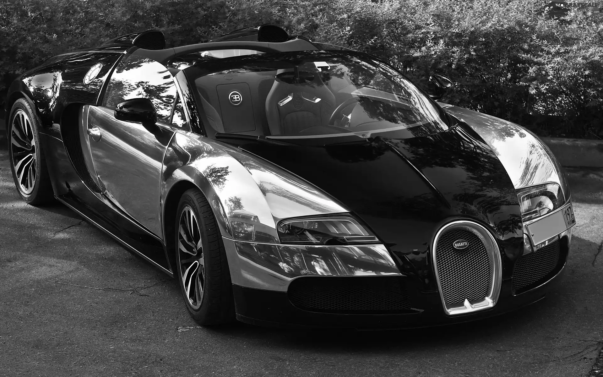 Bugatti Veyron 16.4 Grand Sport