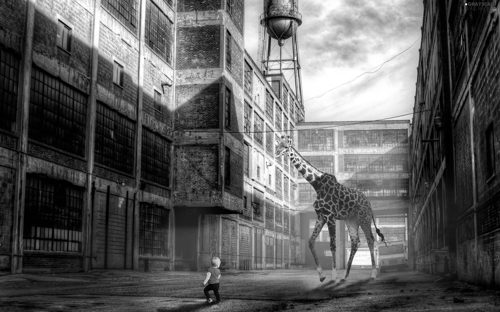 buildings, giraffe, boy