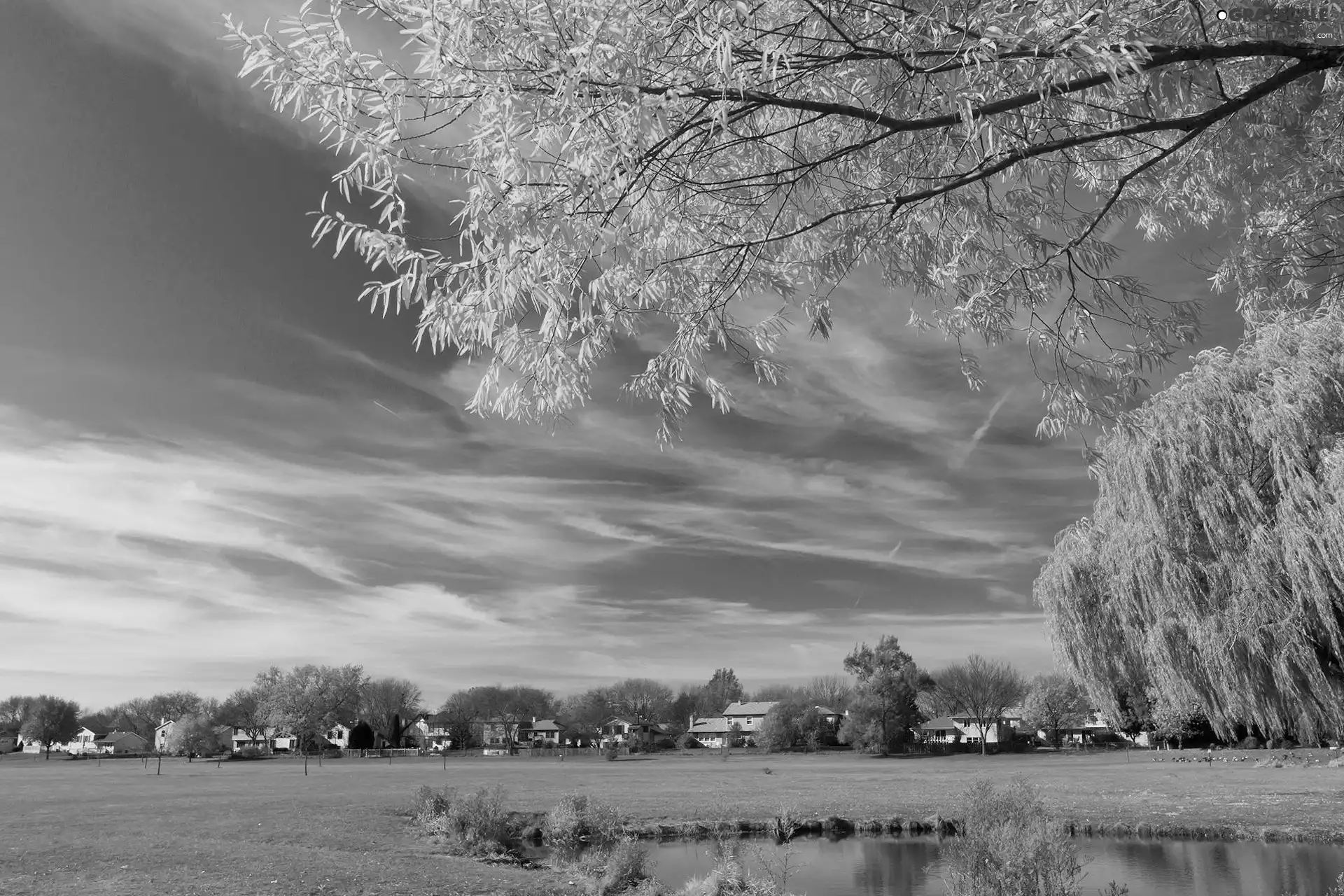 buildings, Pond, Meadow