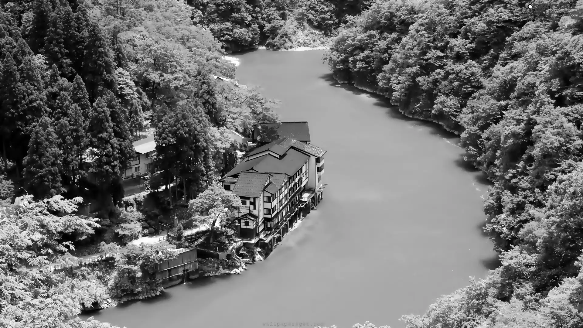 buildings, forest, River