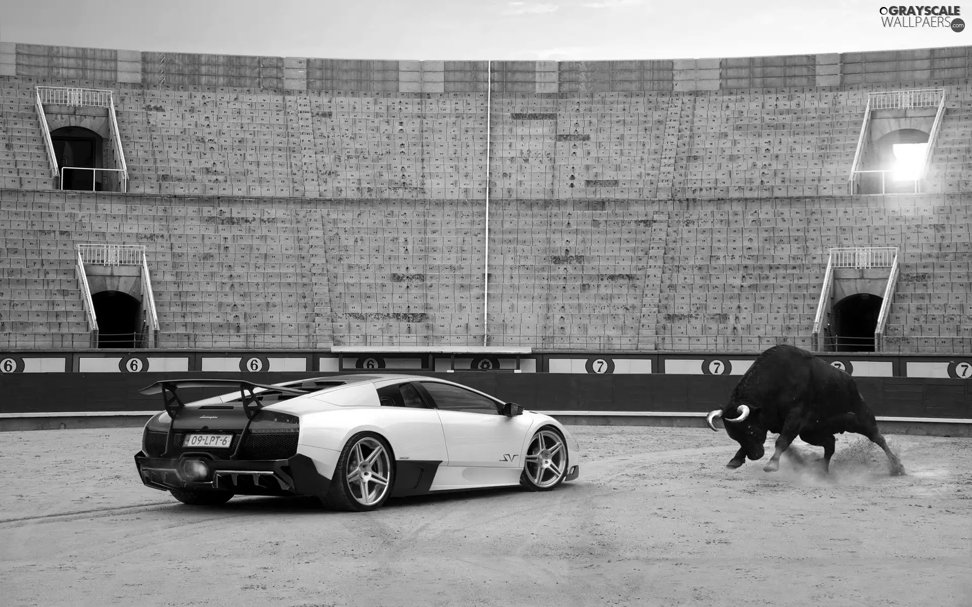 Lamborghini, Stadium, Bull, Murcielago