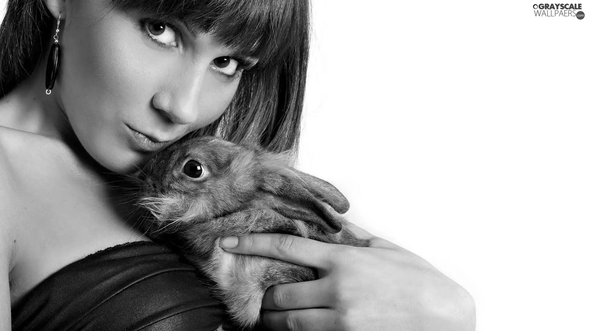 Bunny, Beauty, girl
