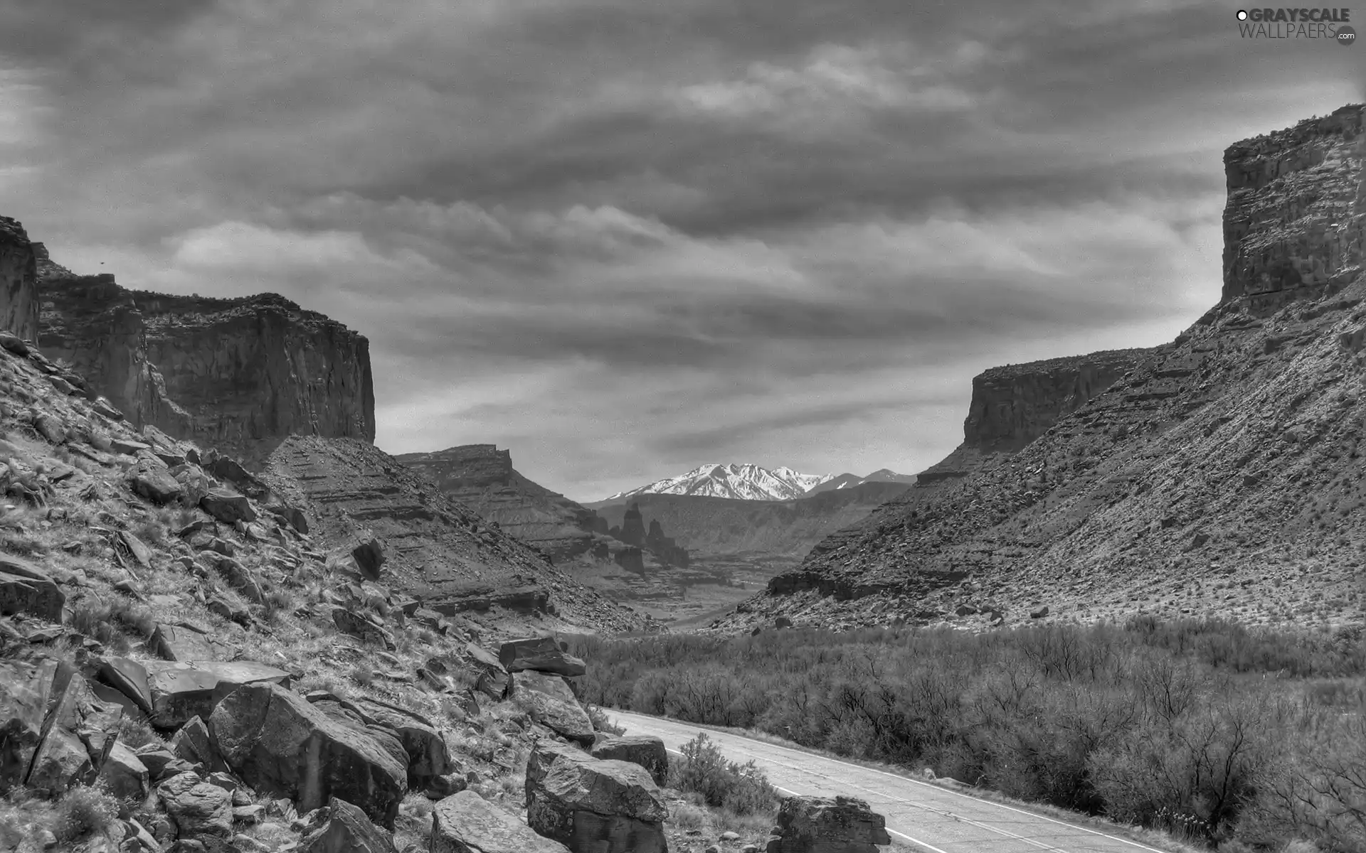 Desert, Mountains, Bush, Way