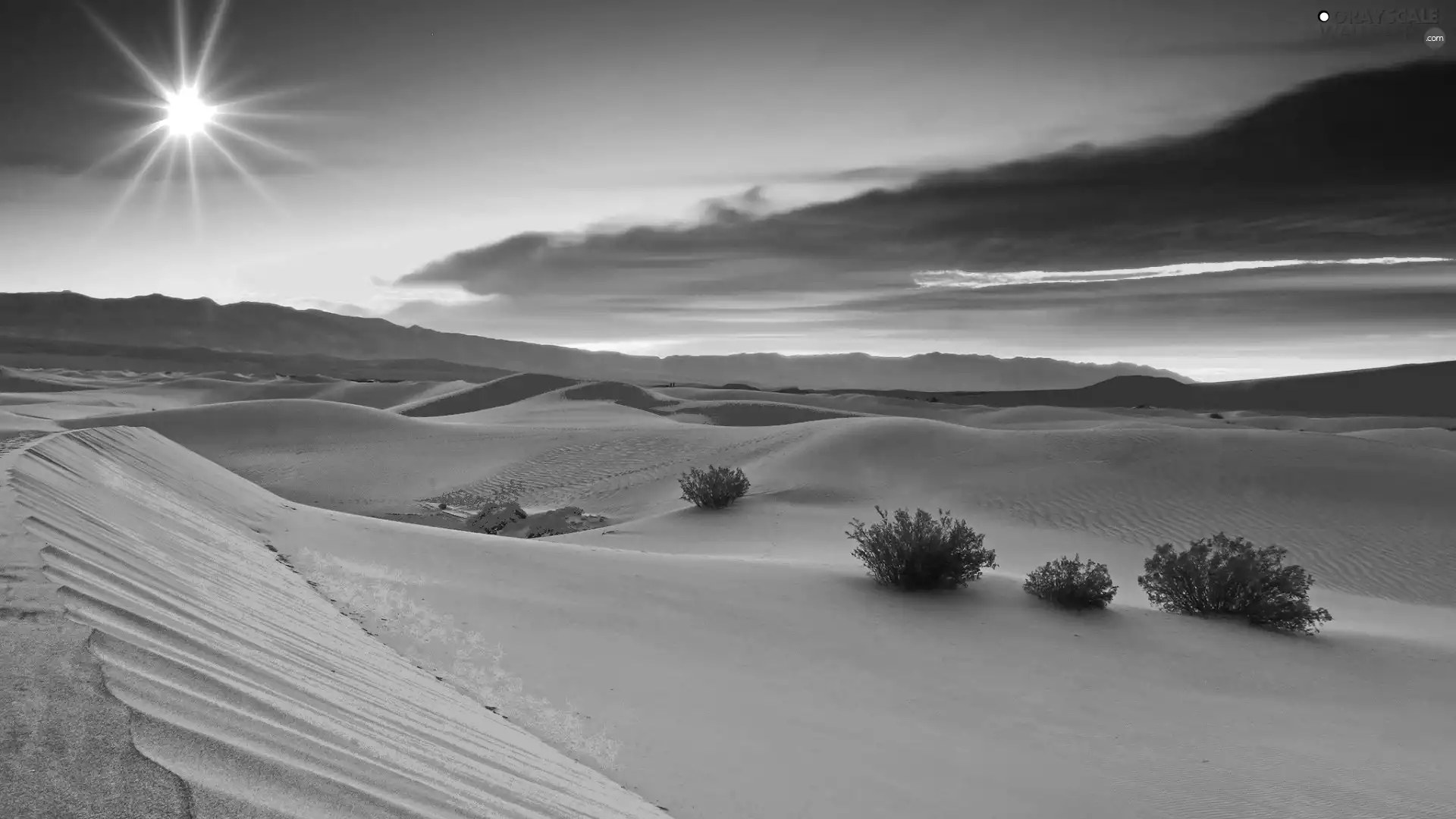Desert, sun, Bush, clouds